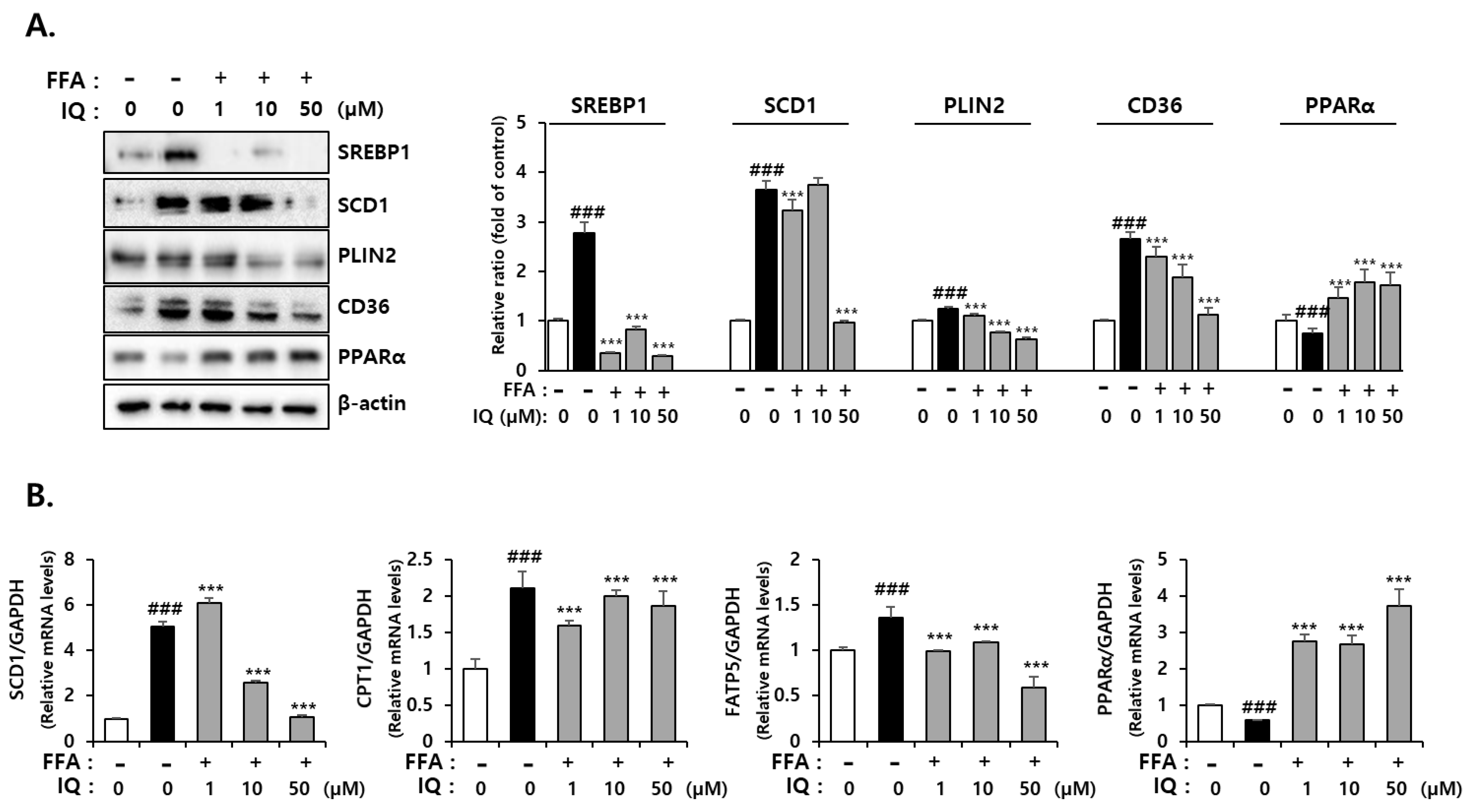 Molecules 28 01476 g004 Molecules 28 01476 g004