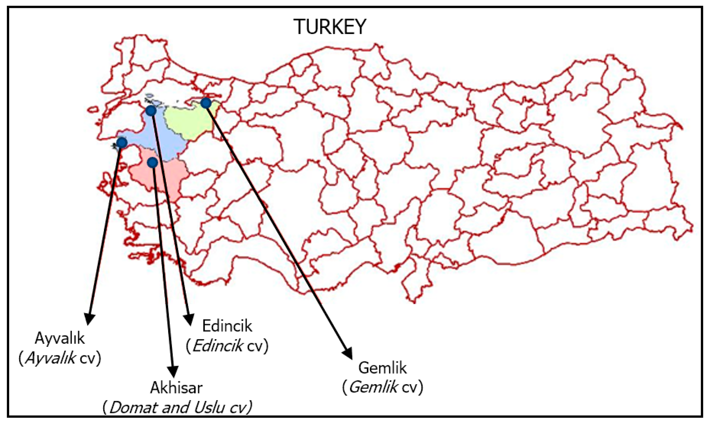 Molecules 28 01483 g005