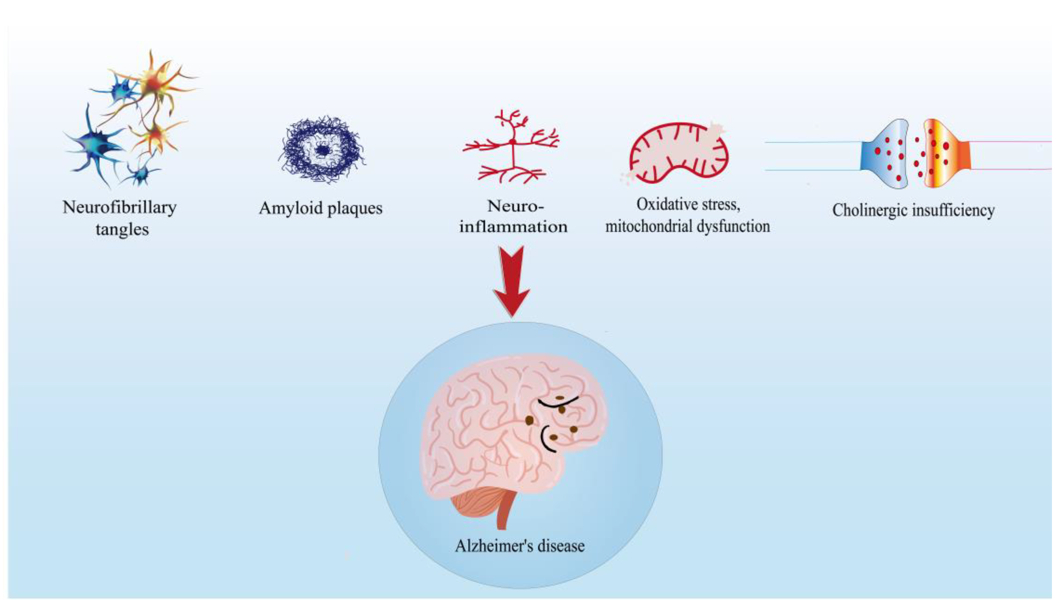 The Genetics Of Alzheimer'S: A Breakthrough? - xtbi2li