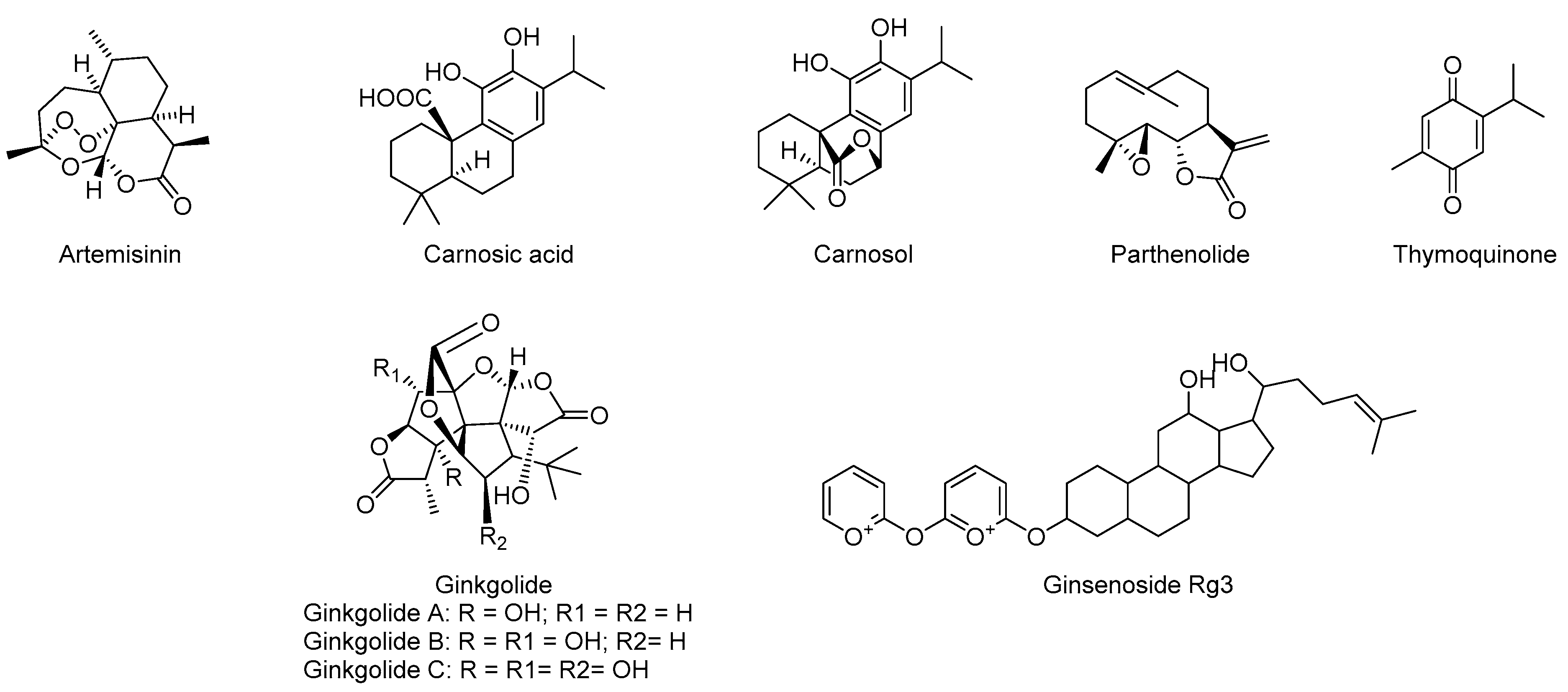 Molecules 28 01486 g007