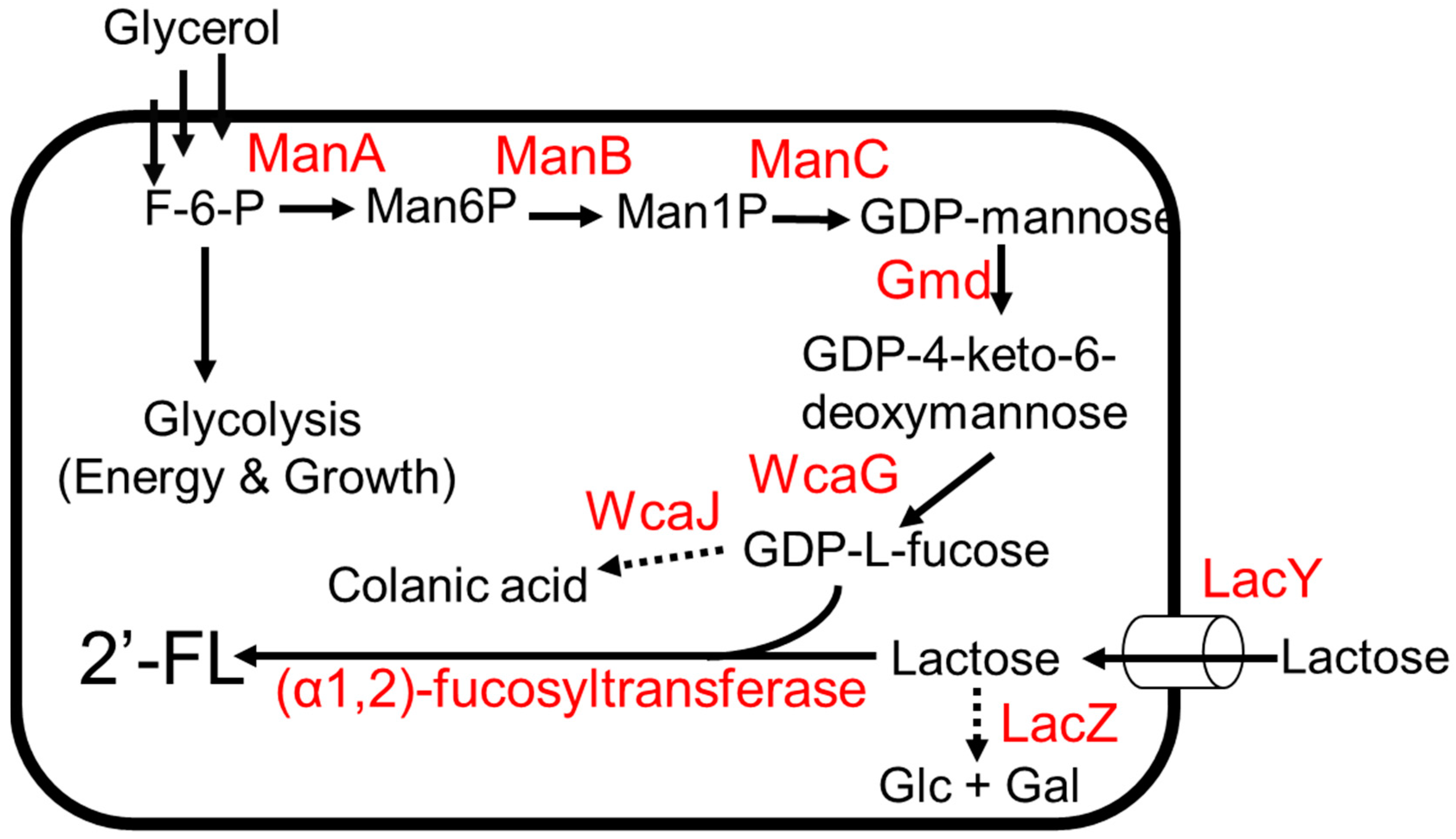 Molecules 28 01491 g002 Molecules 28 01491 g002