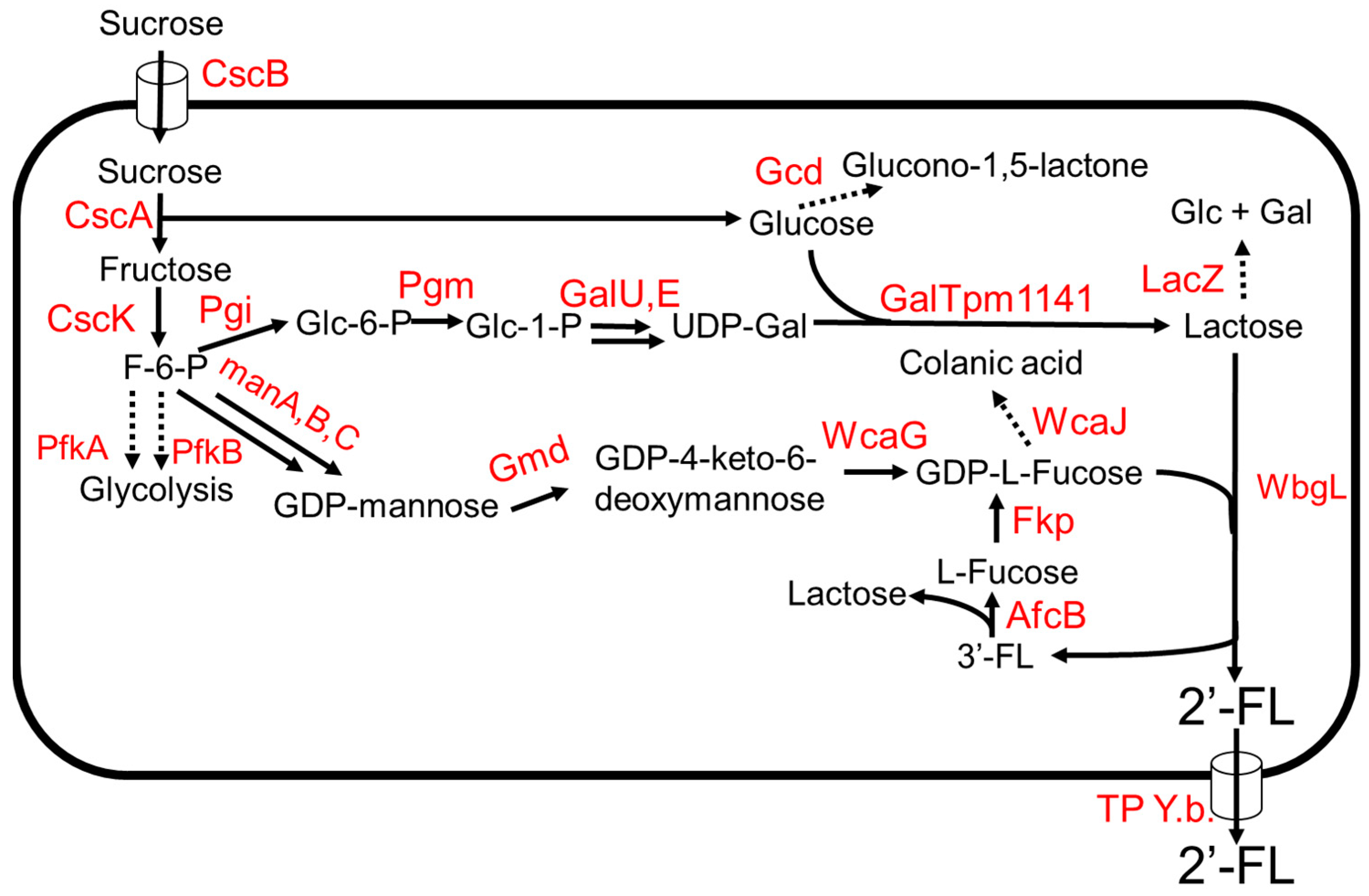 Molecules 28 01491 g003 Molecules 28 01491 g003