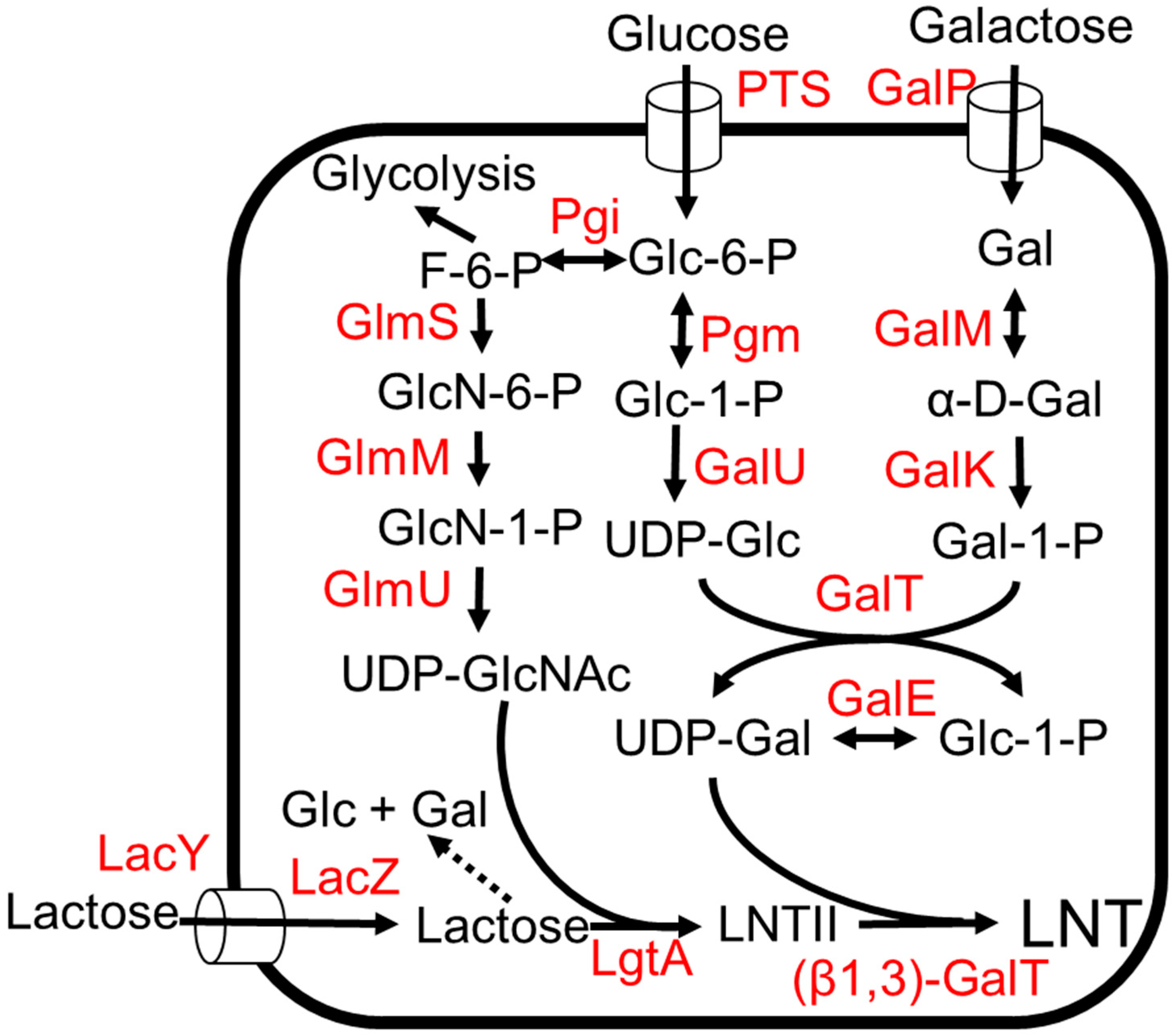 Molecules 28 01491 g006 Molecules 28 01491 g006