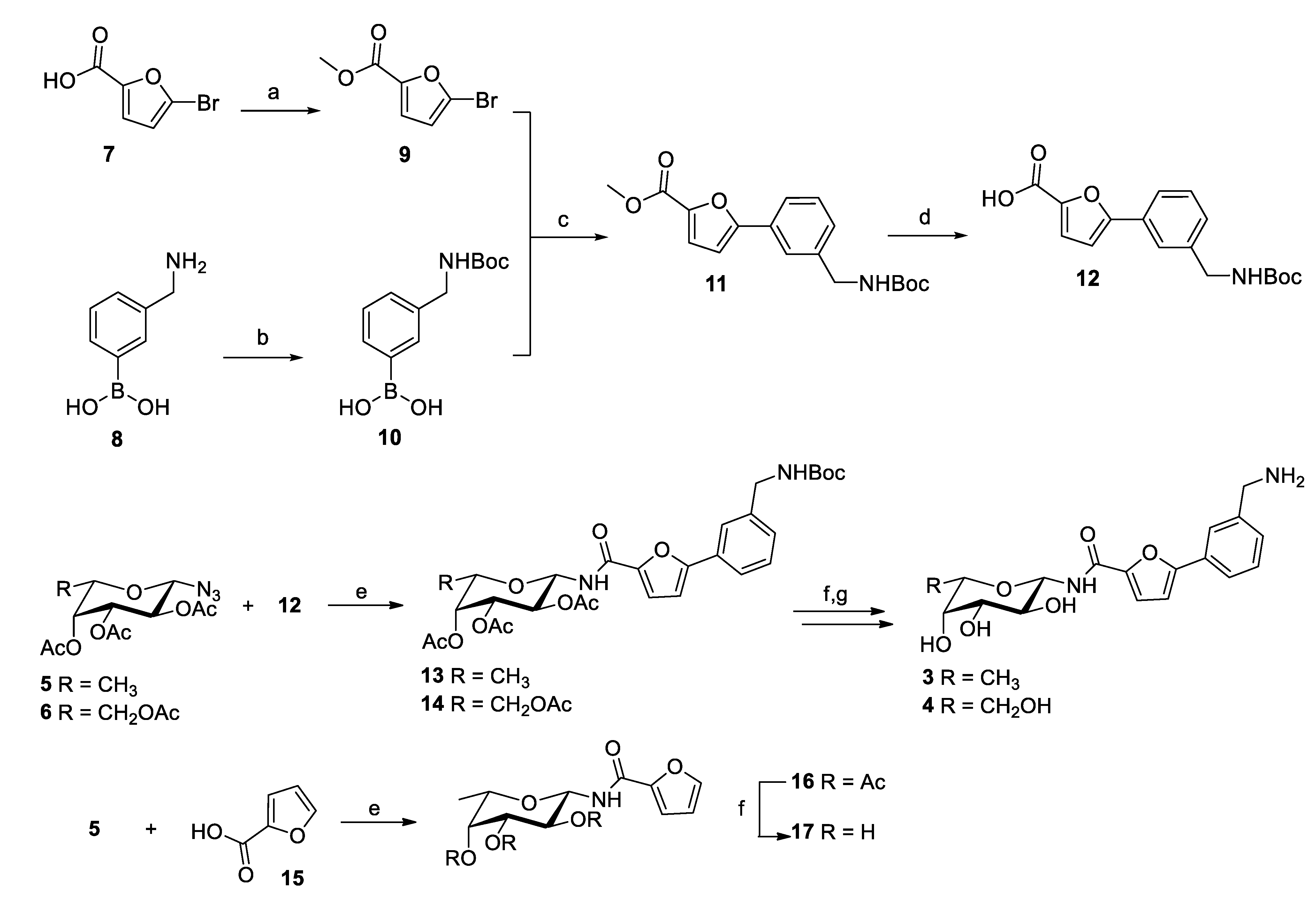Molecules 28 01494 sch001