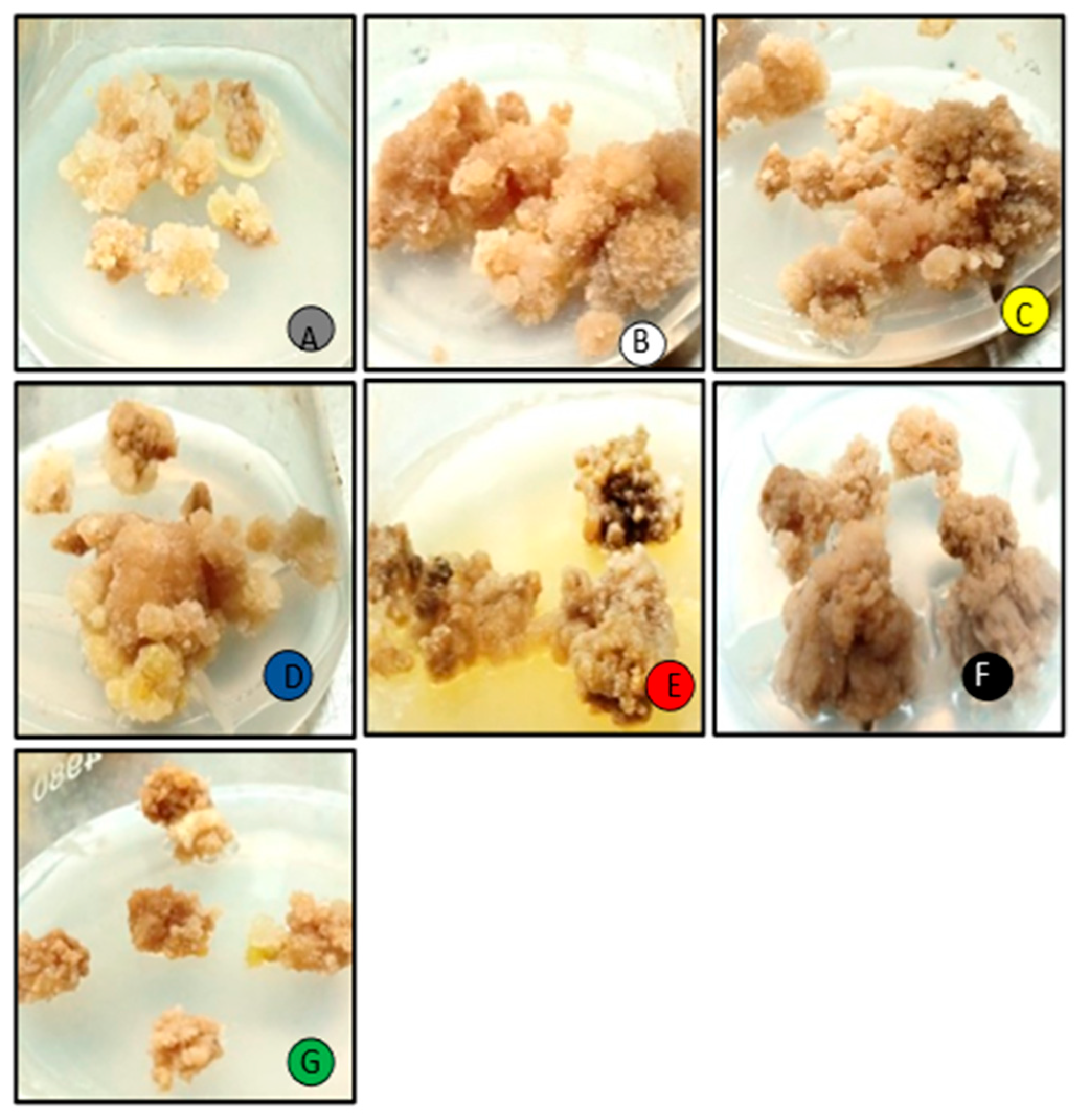 Molecules 28 01497 g001