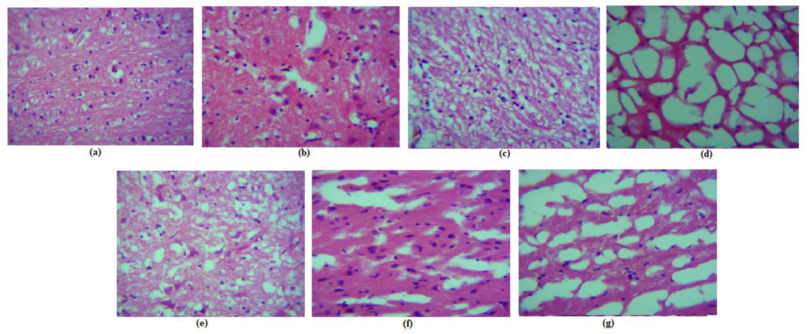 Molecules 28 01514 g012 Molecules 28 01514 g012