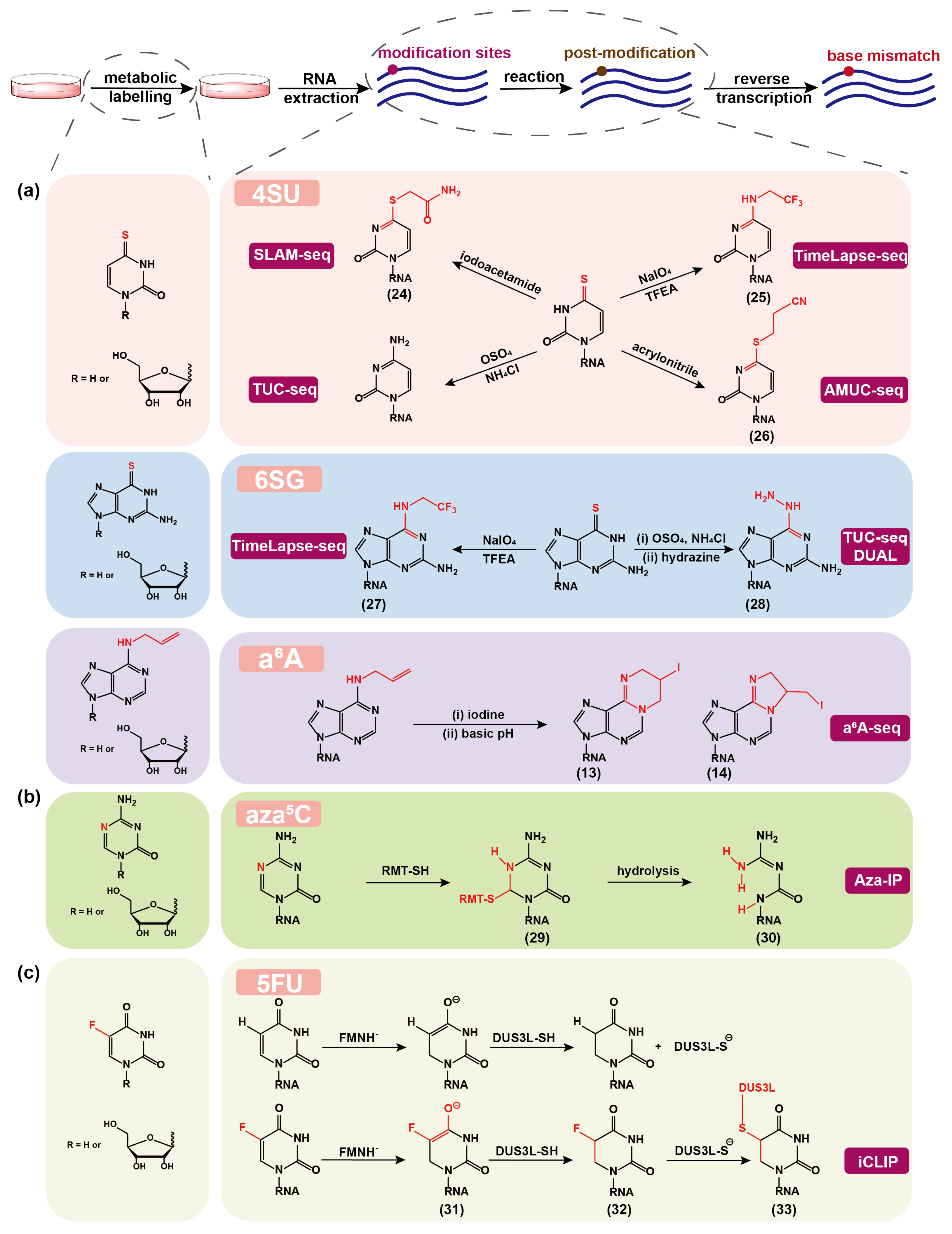 Molecules 28 01517 g003