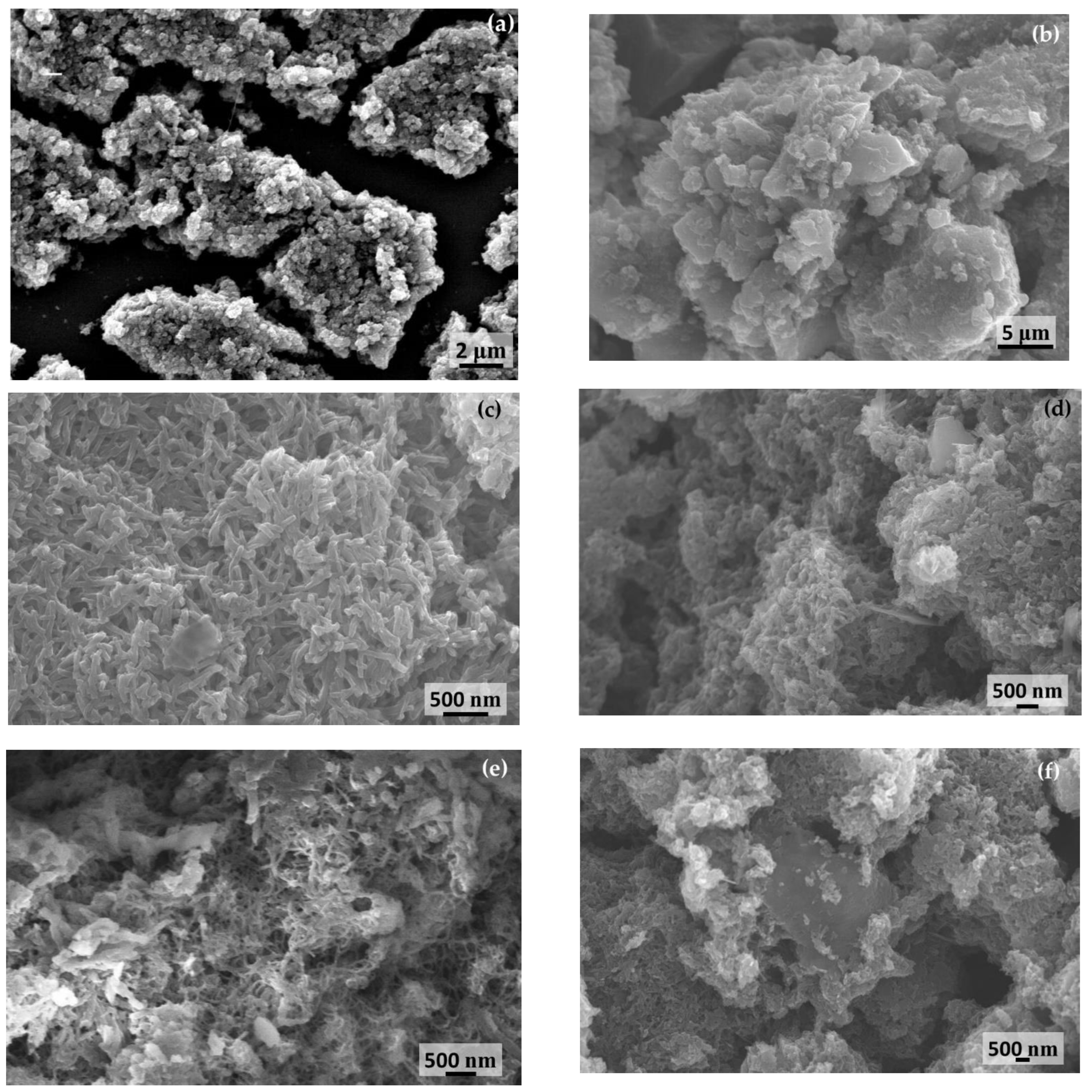 Molecules 28 01520 g001 Molecules 28 01520 g001
