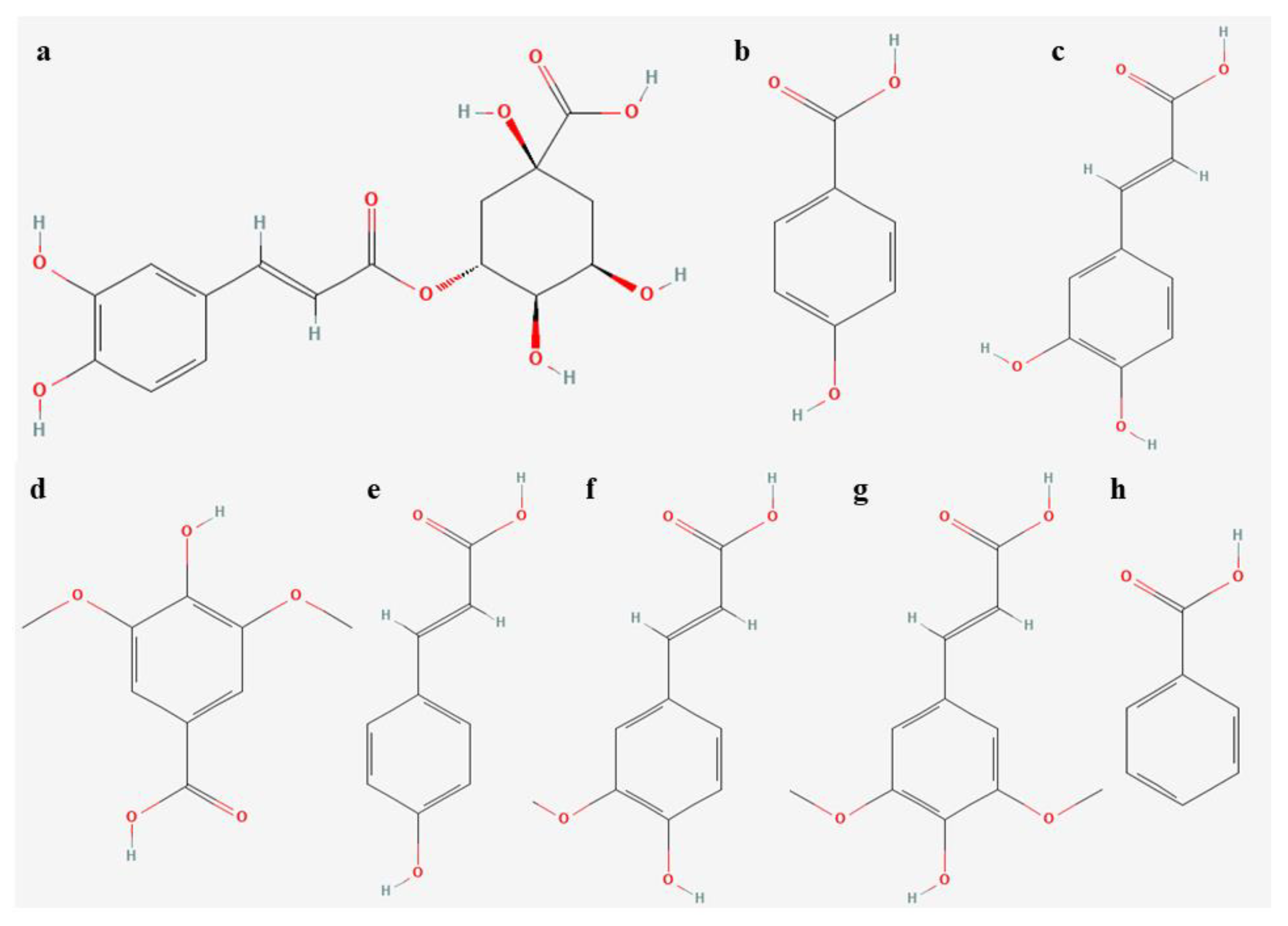 Molecules 28 01525 g003 Molecules 28 01525 g003