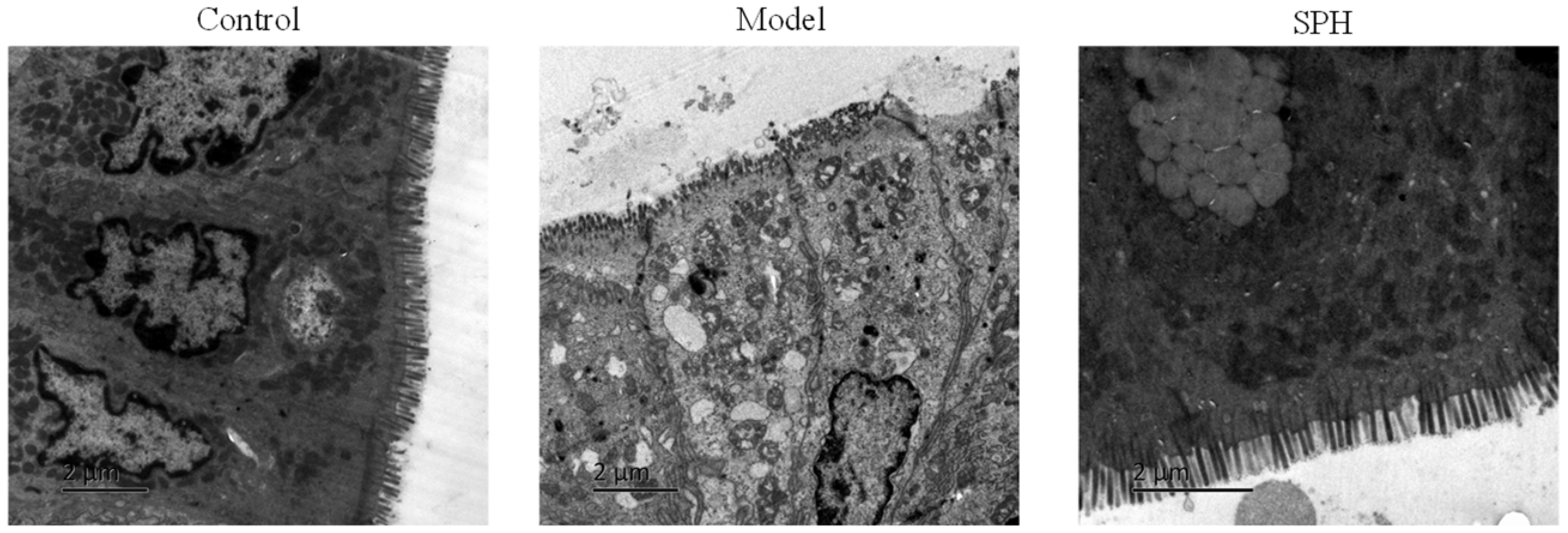 Molecules 28 01526 g007