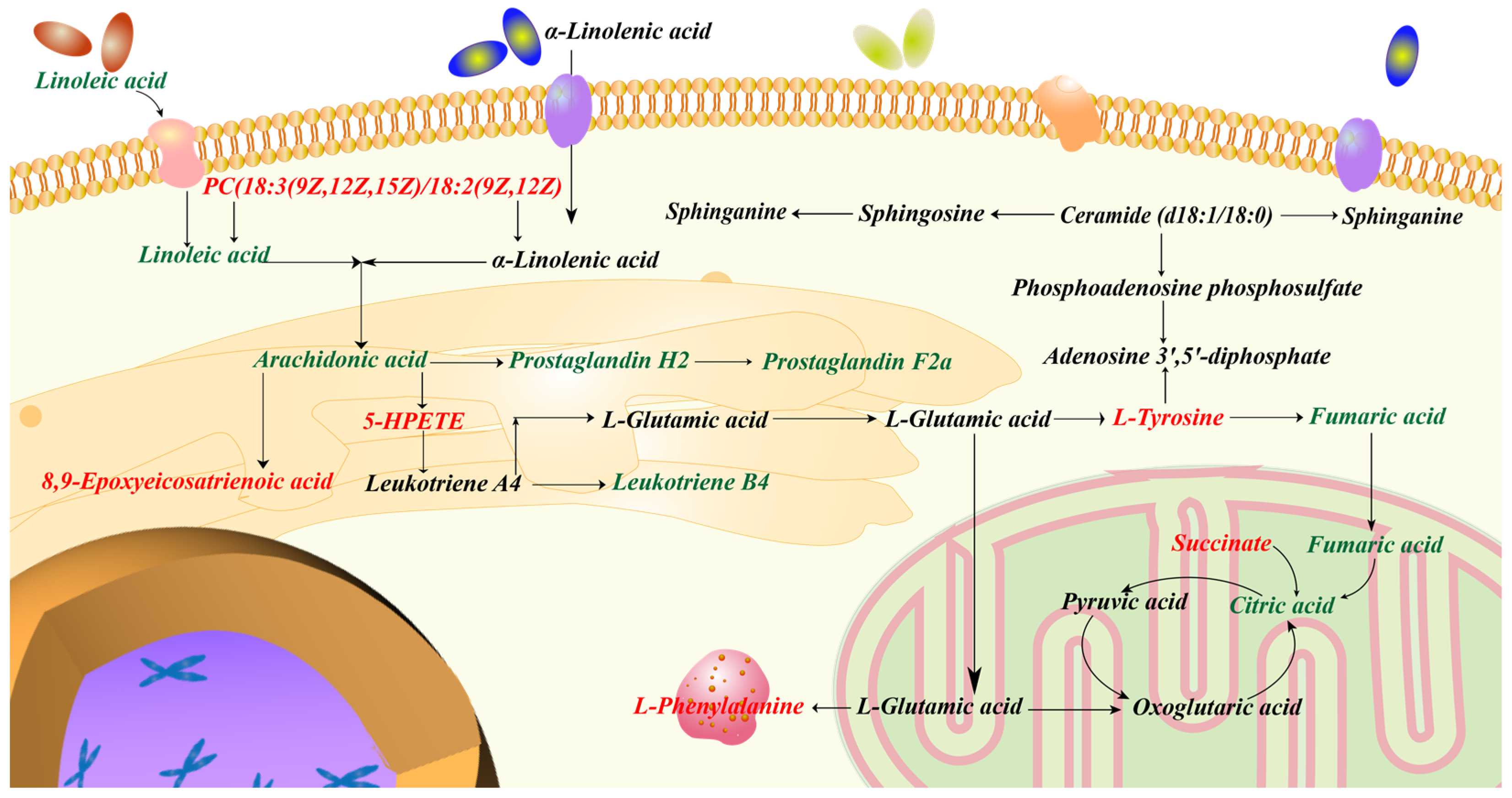 Molecules 28 01526 g012
