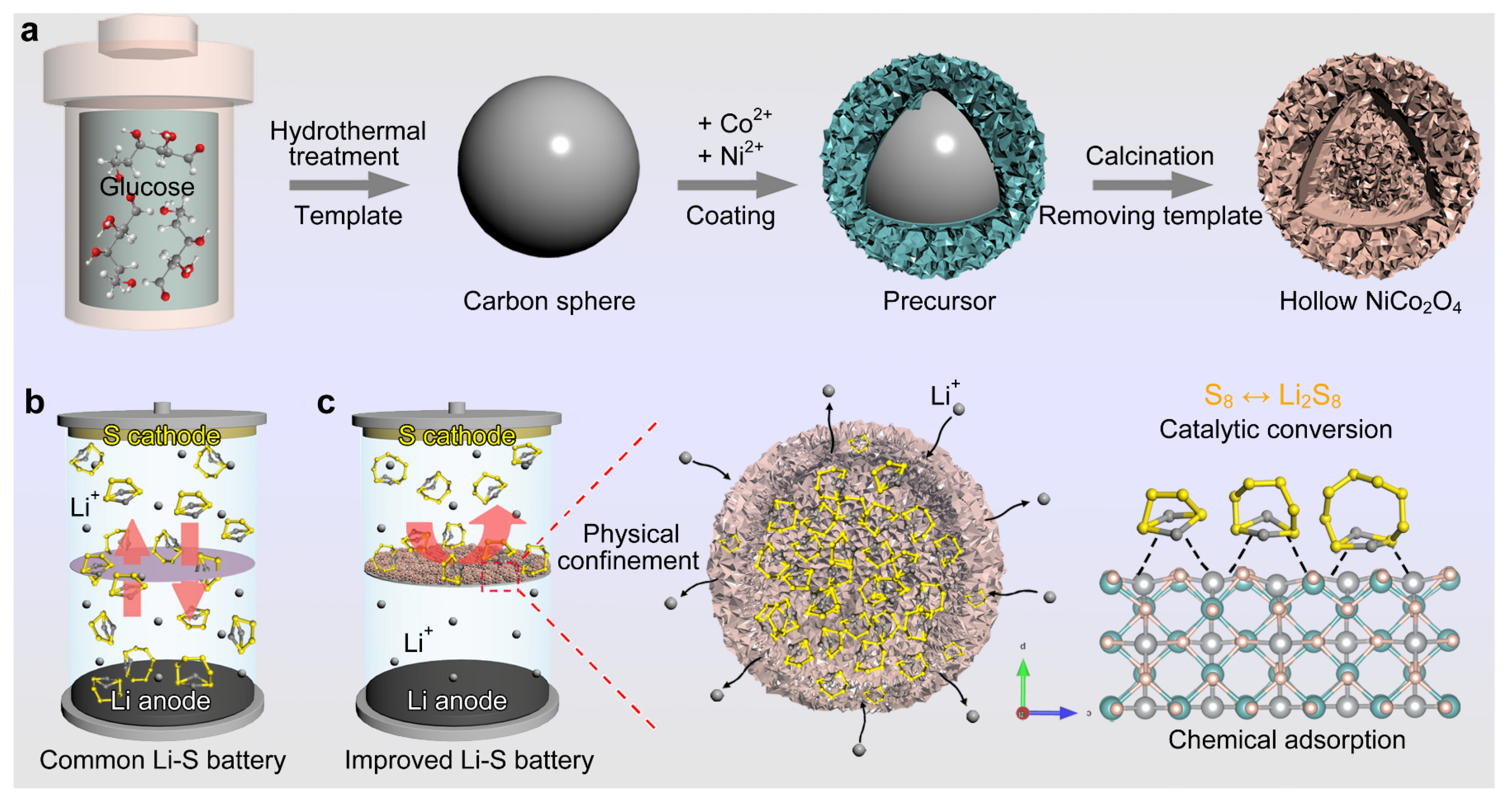 Molecules 28 01539 g001