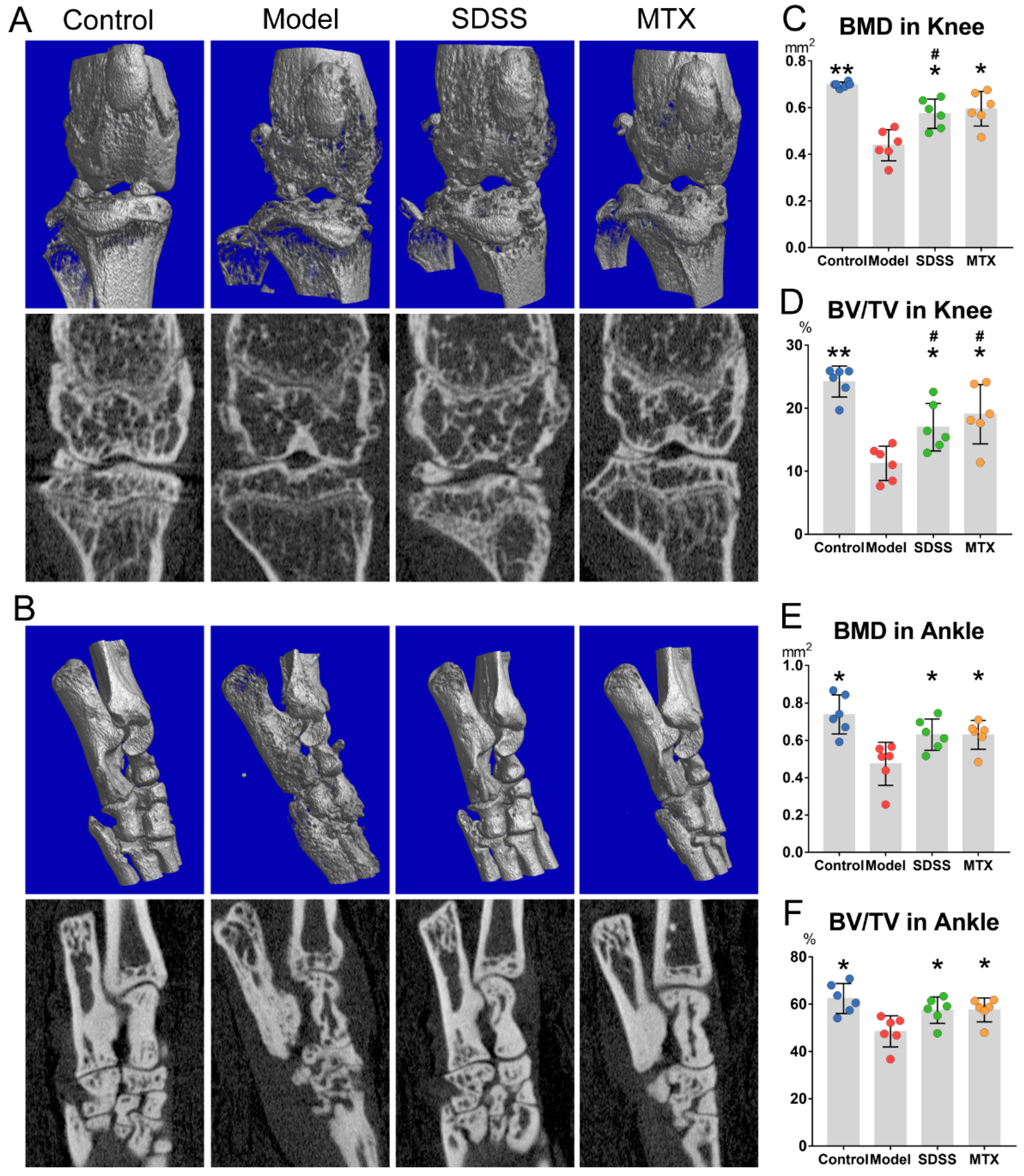 Molecules 28 01551 g002 Molecules 28 01551 g002