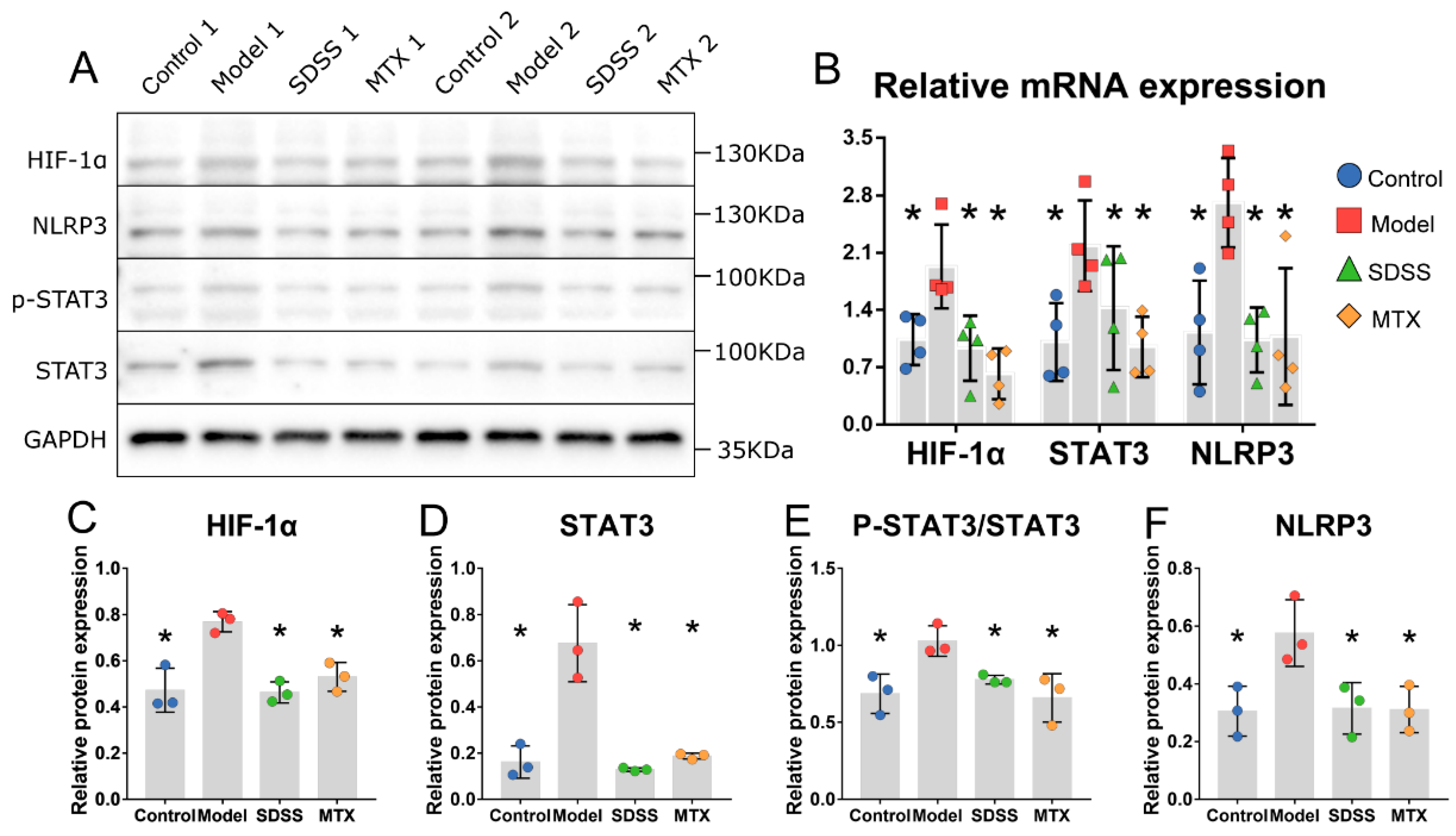 Molecules 28 01551 g004 Molecules 28 01551 g004