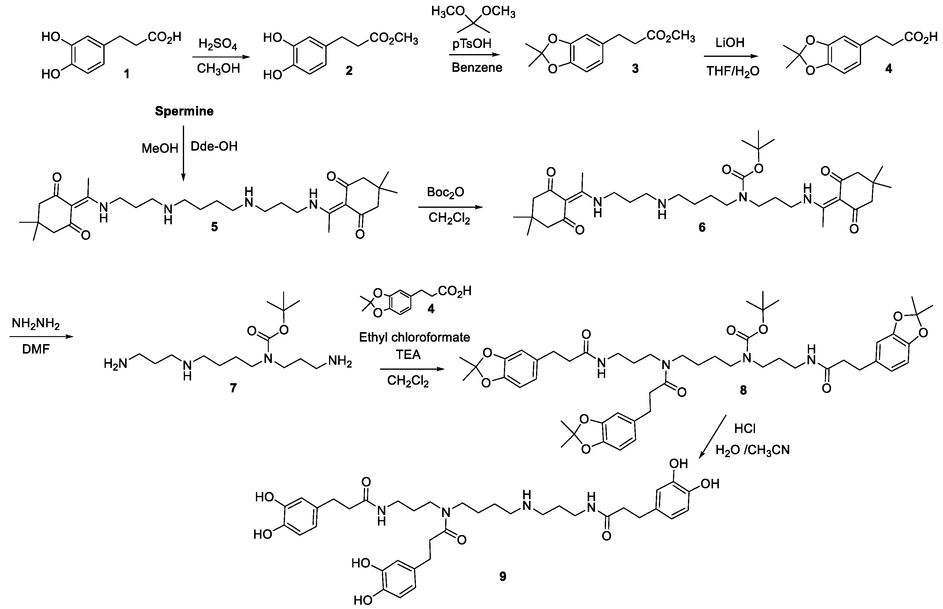Molecules 28 01552 sch001