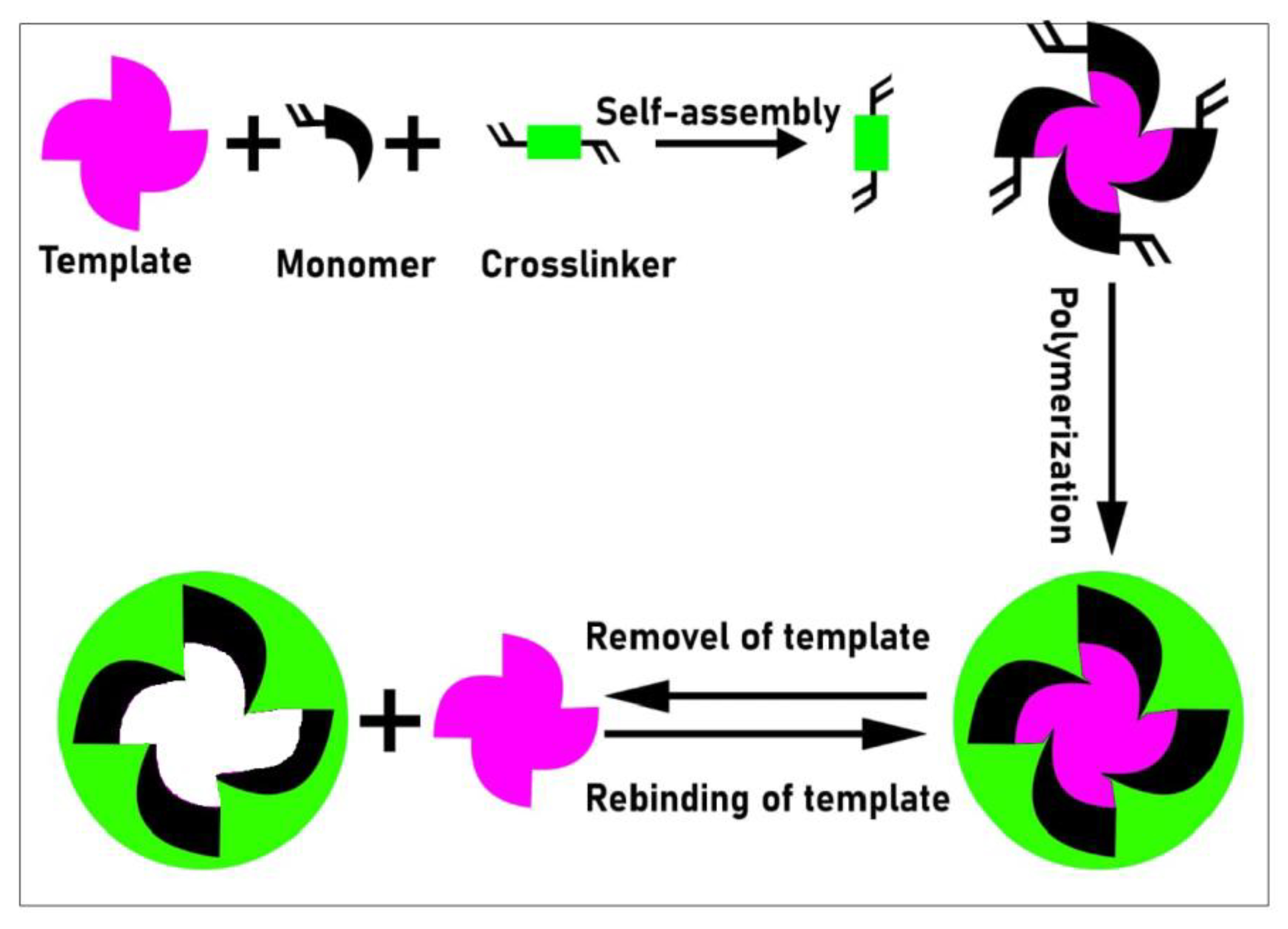 Molecules 28 01555 g001 550