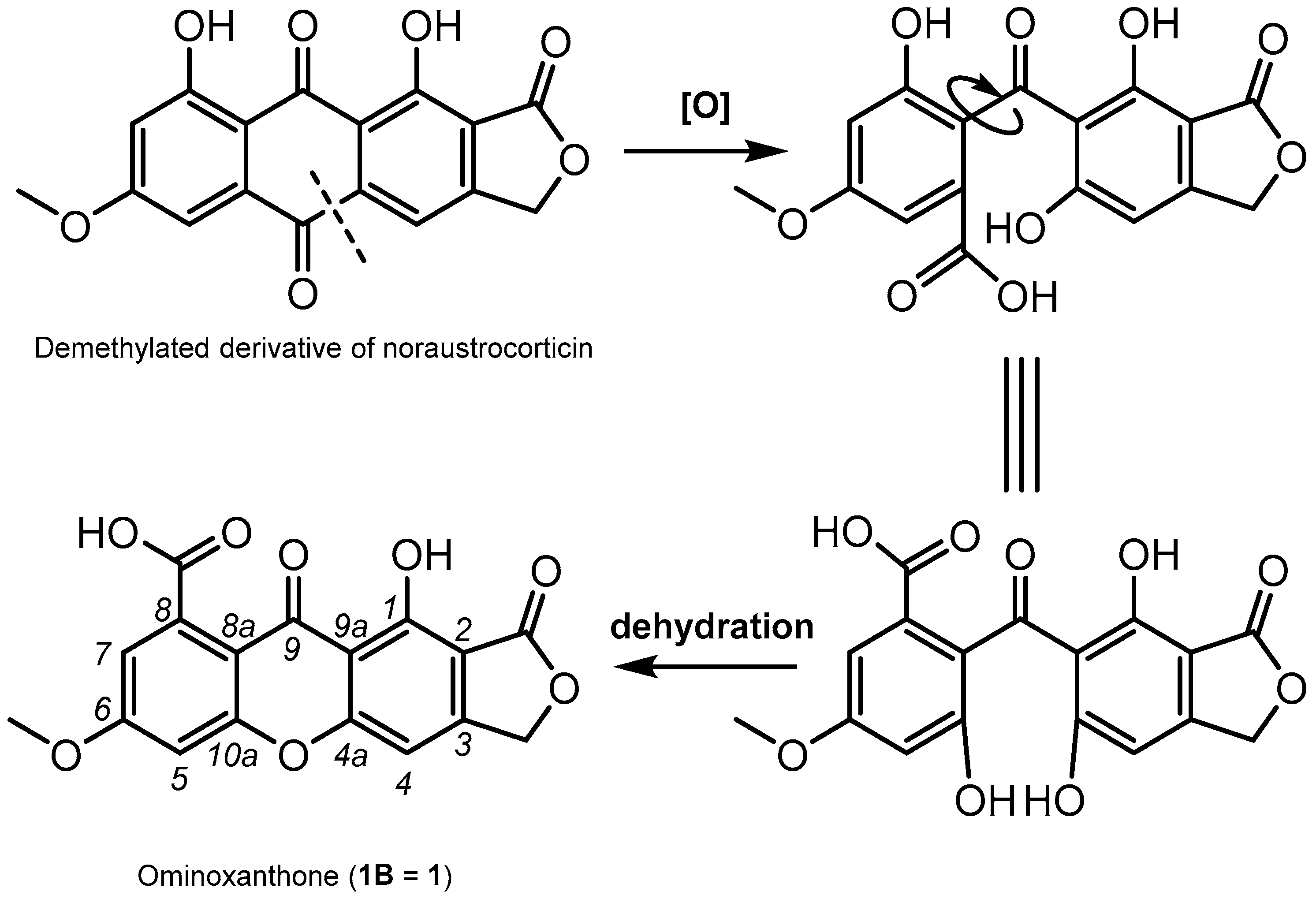 Molecules 28 01557 g007 550