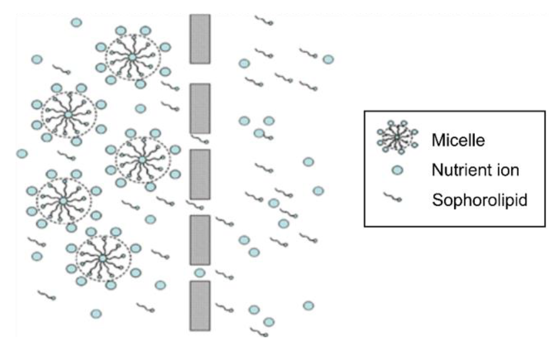 Molecules 28 01559 g001 Molecules 28 01559 g001