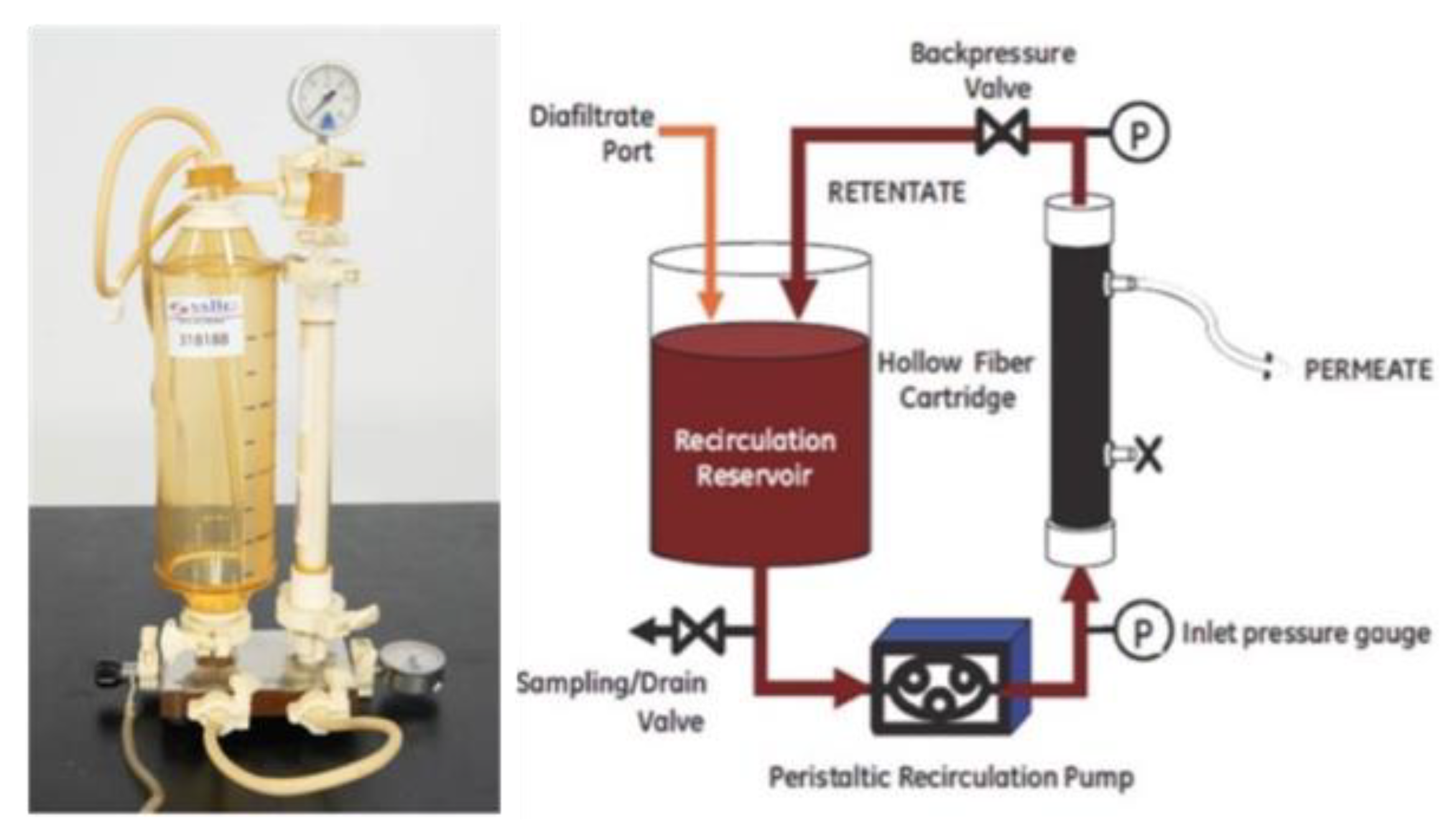Molecules 28 01559 g004 Molecules 28 01559 g004
