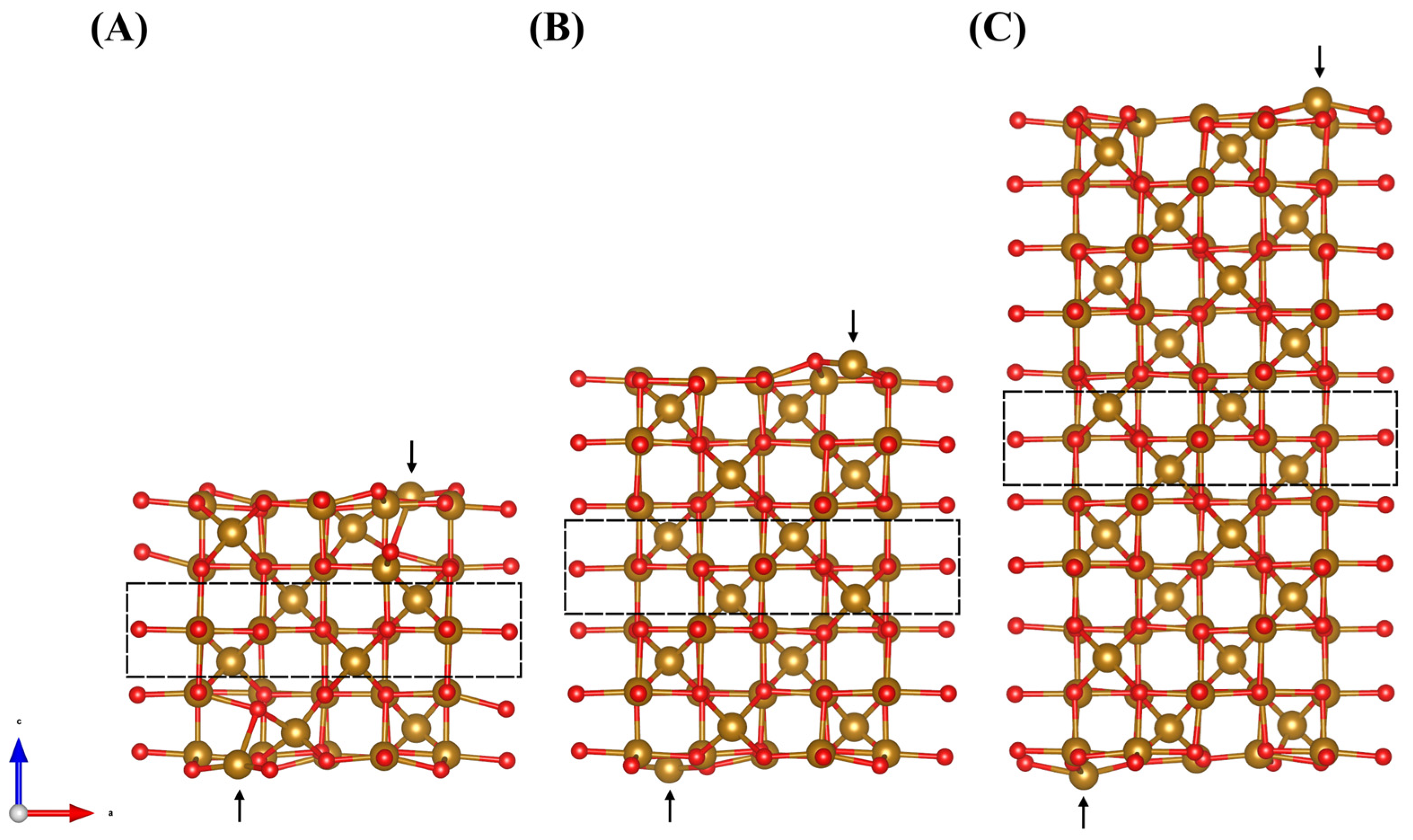 Molecules 28 01562 g007