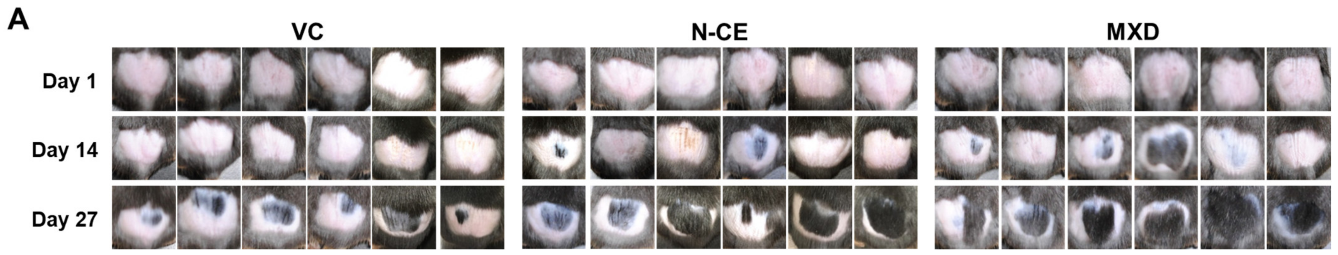Molecules 28 01565 g001a