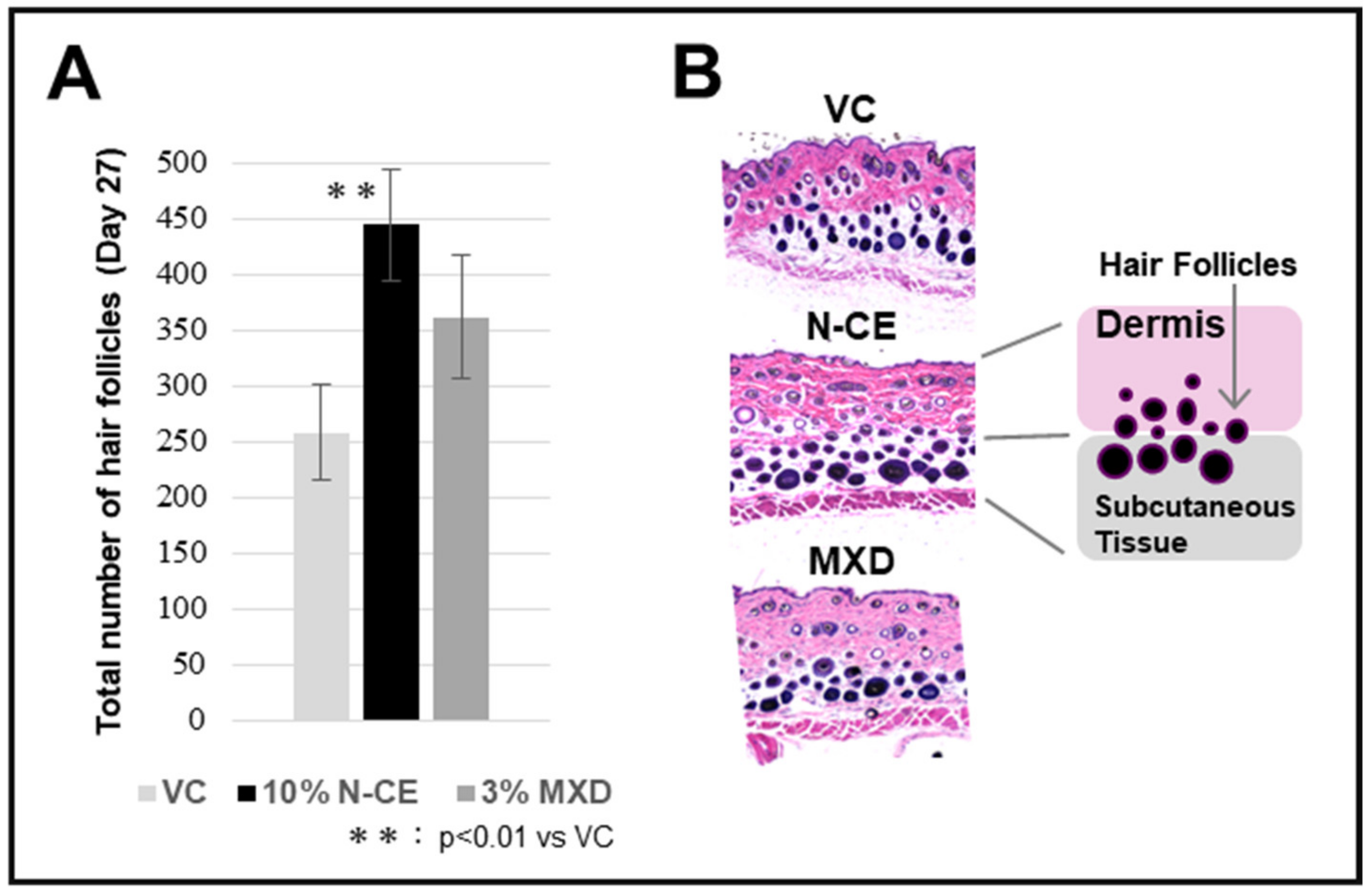 Molecules 28 01565 g002