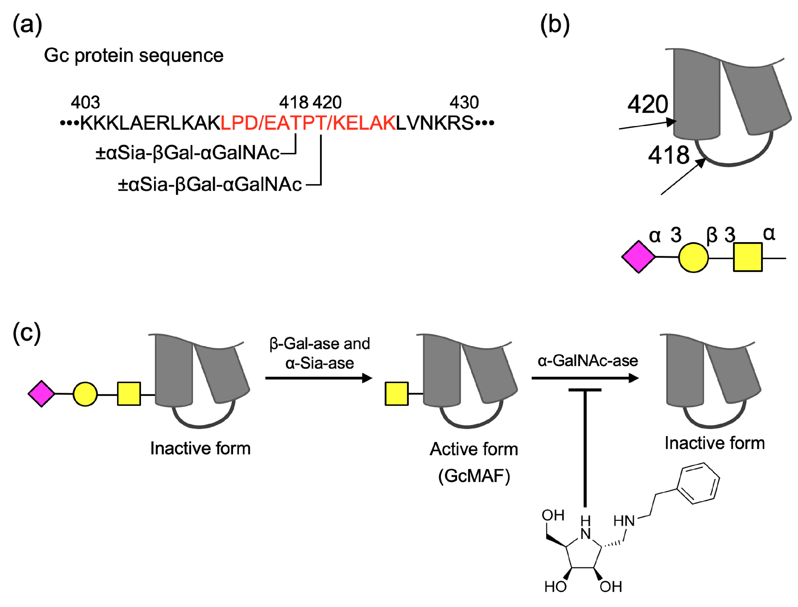 Molecules 28 01570 g001 Molecules 28 01570 g001
