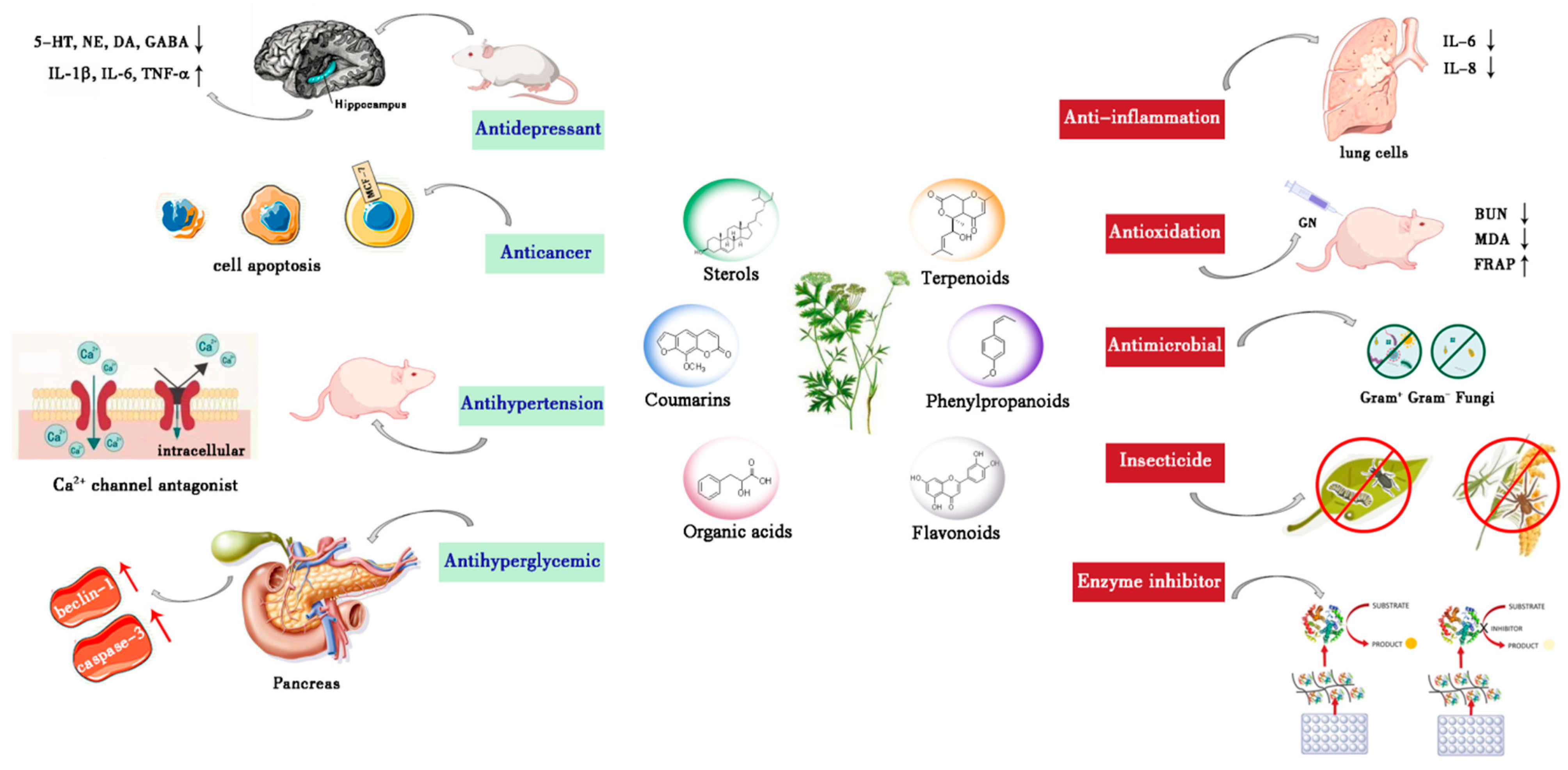 Molecules 28 01571 g009