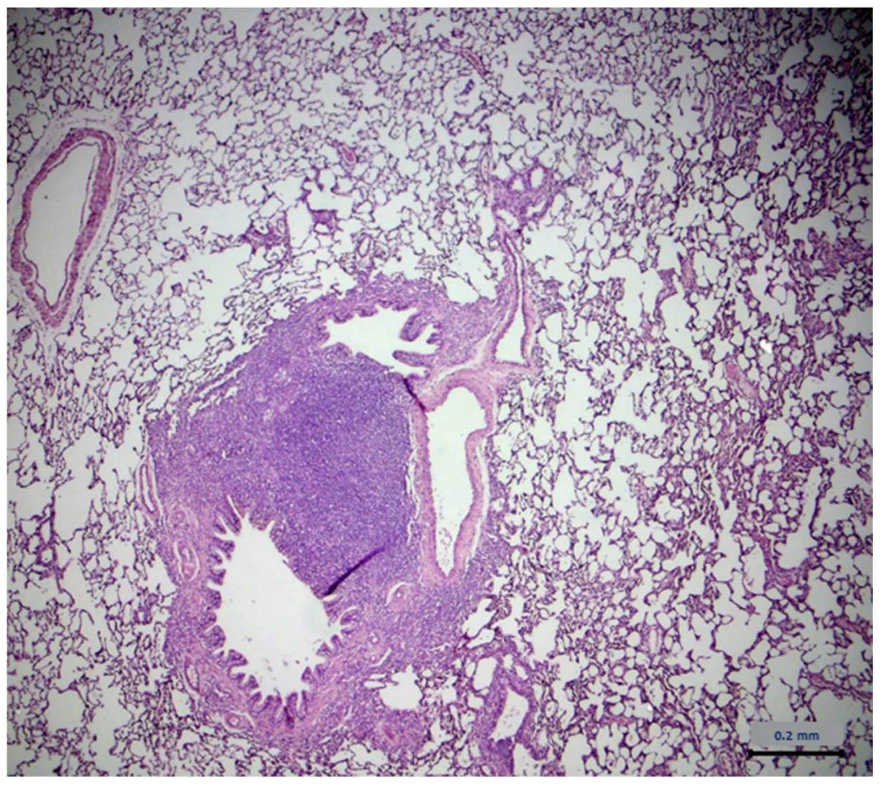 Molecules 28 01574 g006 Molecules 28 01574 g006