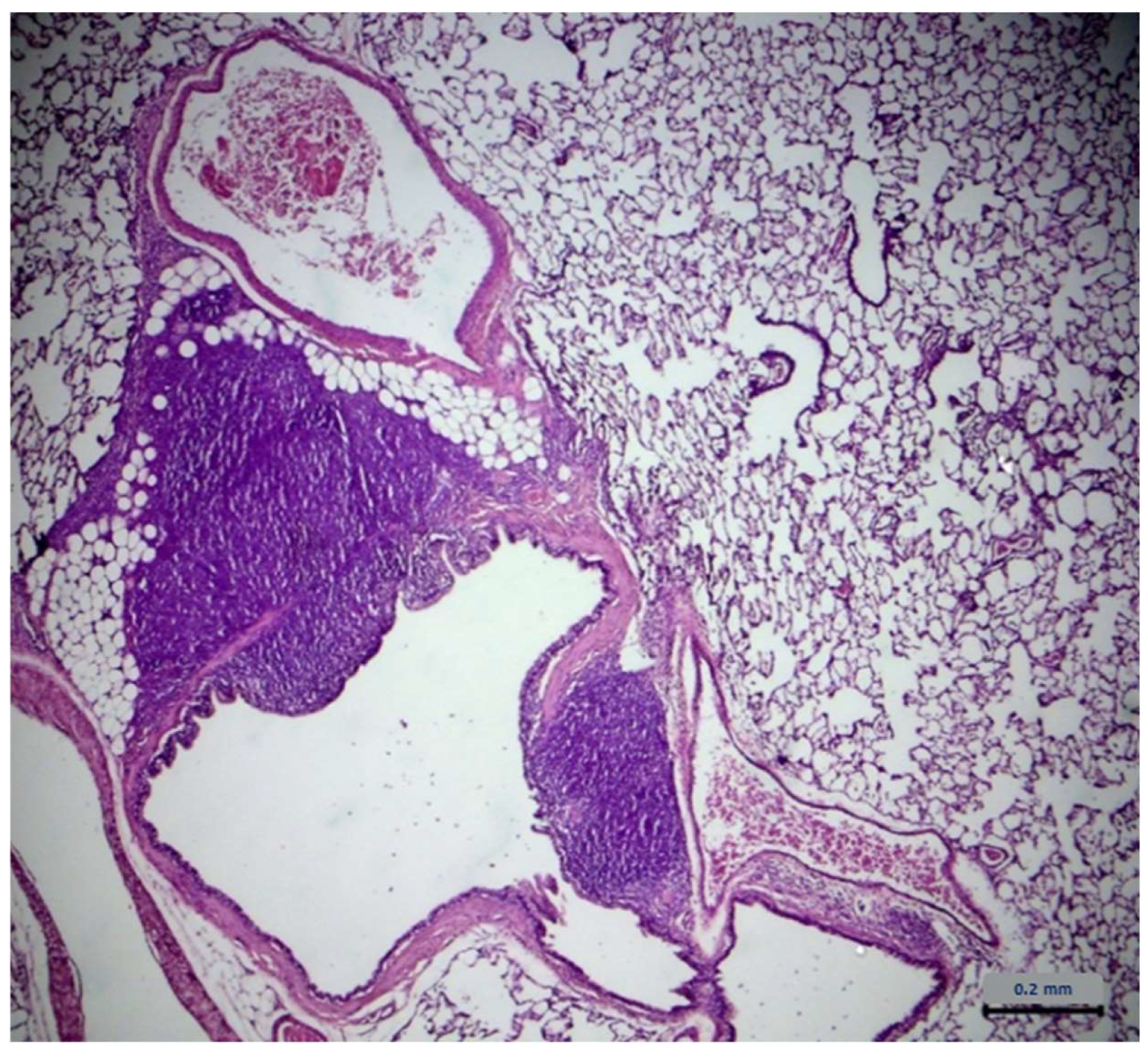 Molecules 28 01574 g007 Molecules 28 01574 g007