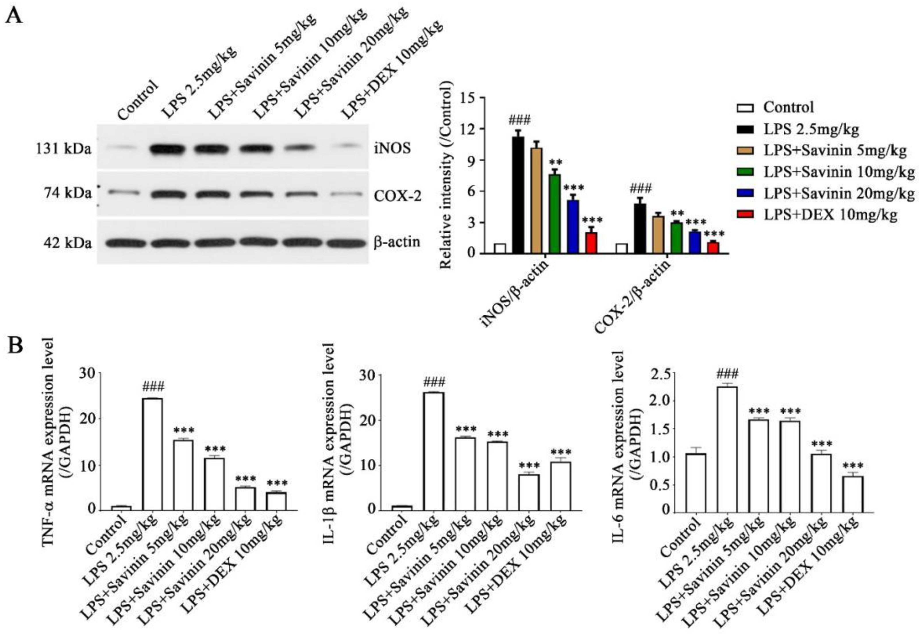 Molecules 28 01575 g003 Molecules 28 01575 g003