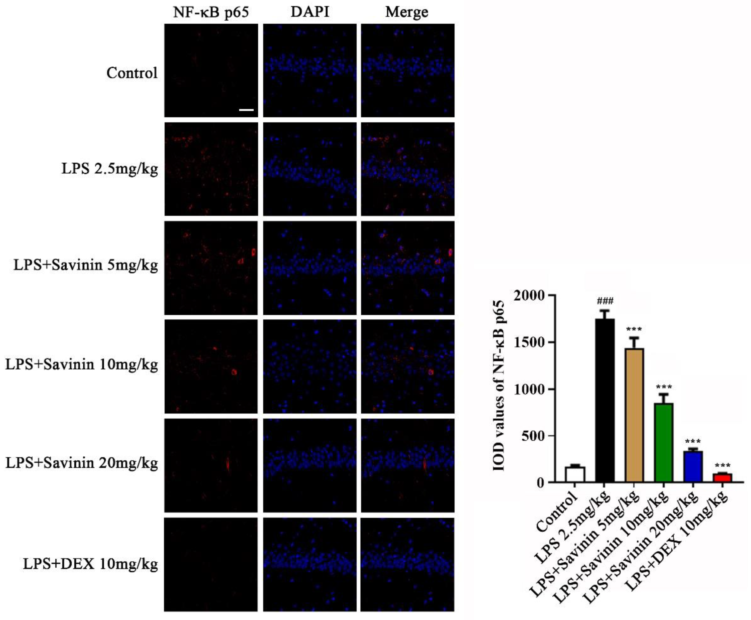 Molecules 28 01575 g007 Molecules 28 01575 g007