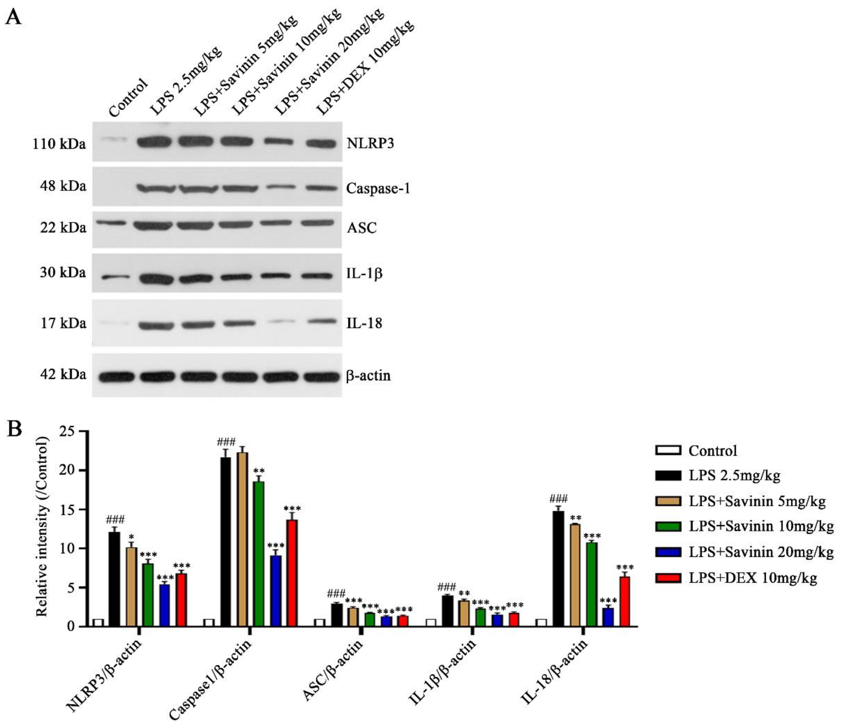 Molecules 28 01575 g008 Molecules 28 01575 g008