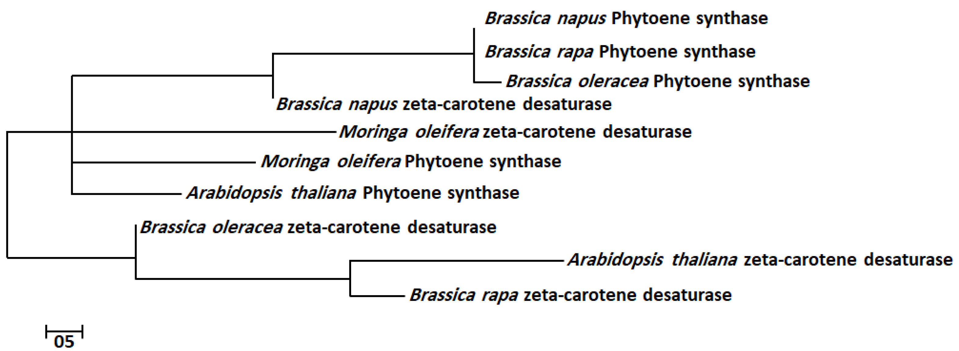 Molecules 28 01578 g001
