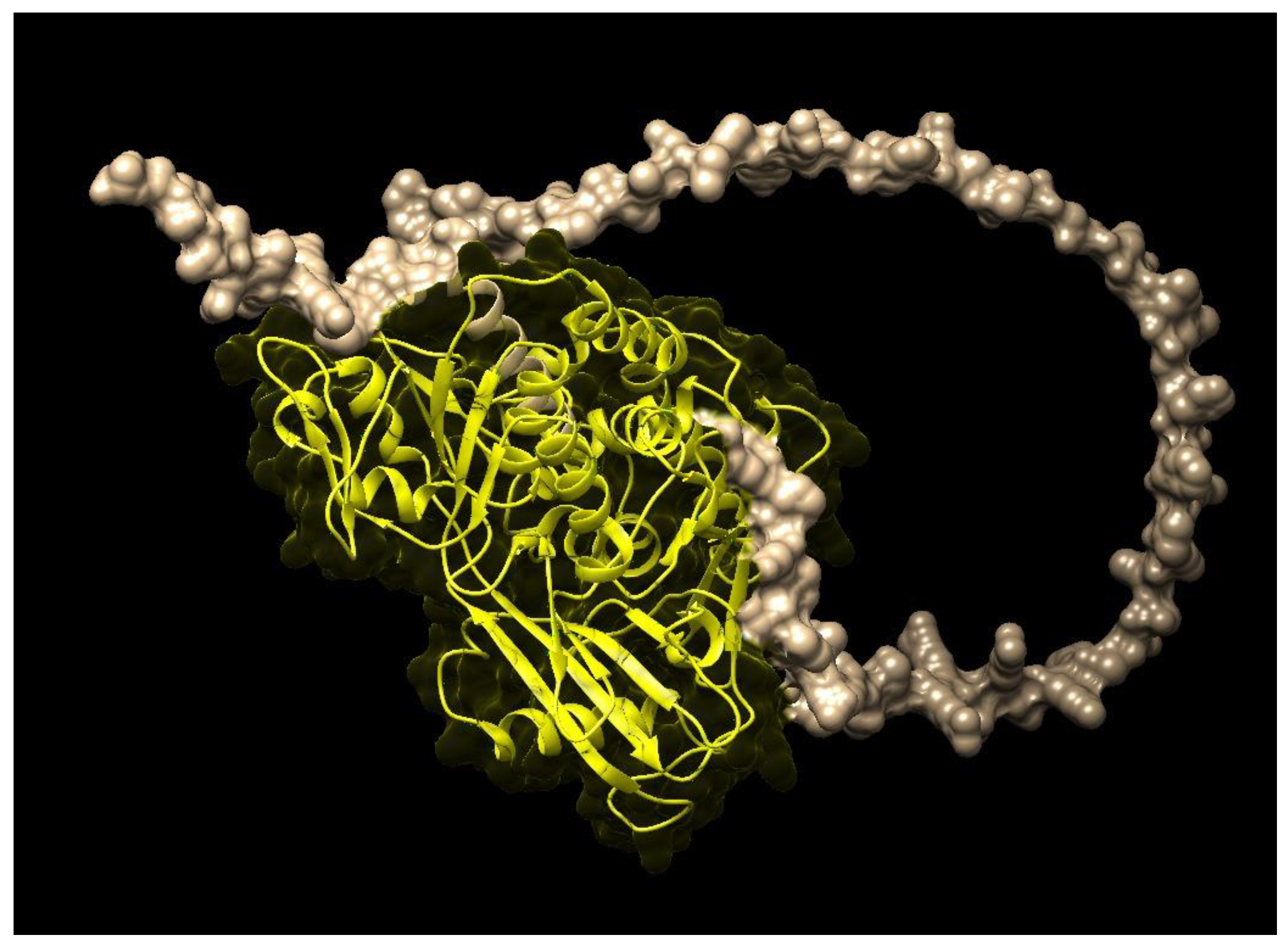 Molecules 28 01578 g002