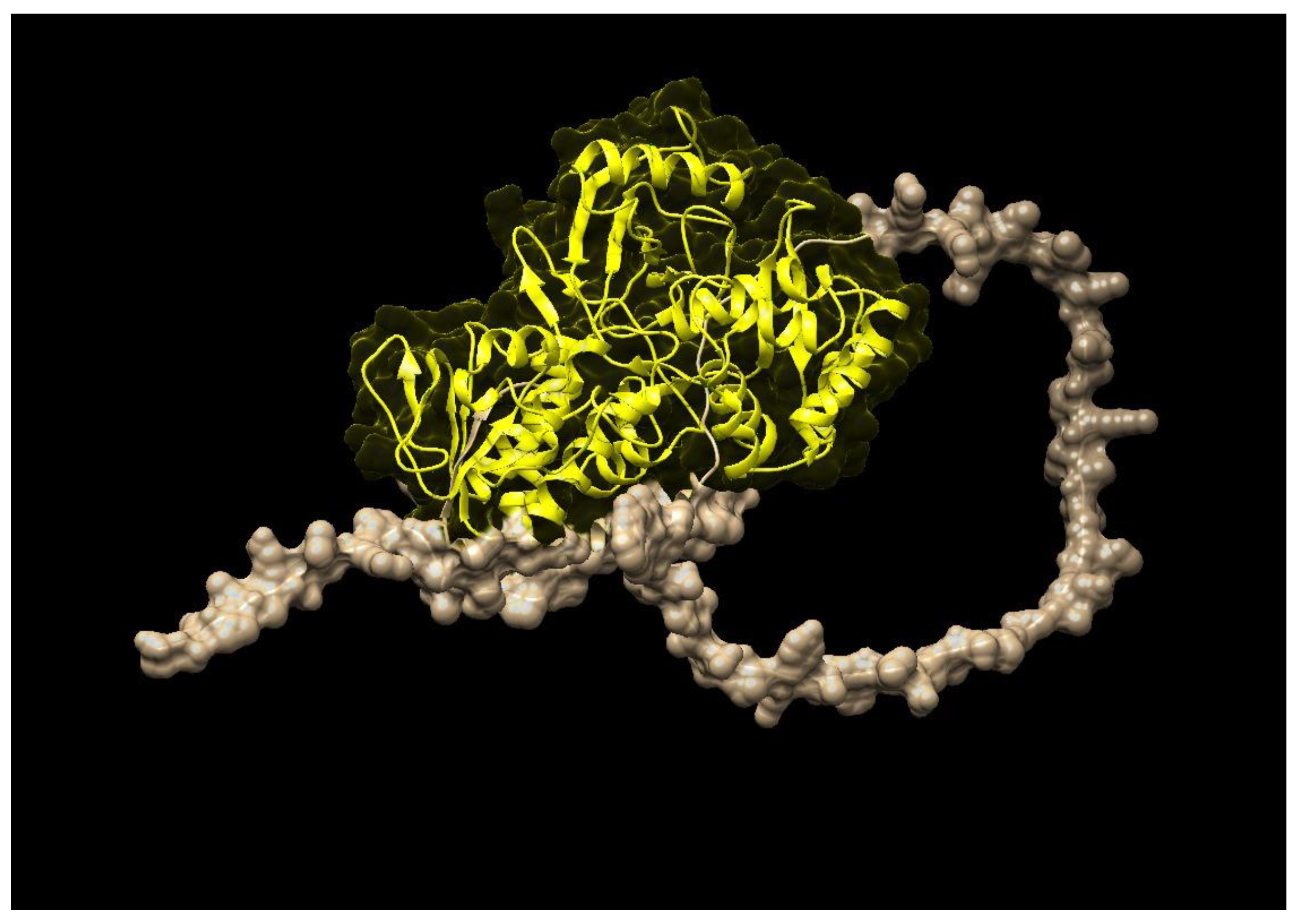 Molecules 28 01578 g003