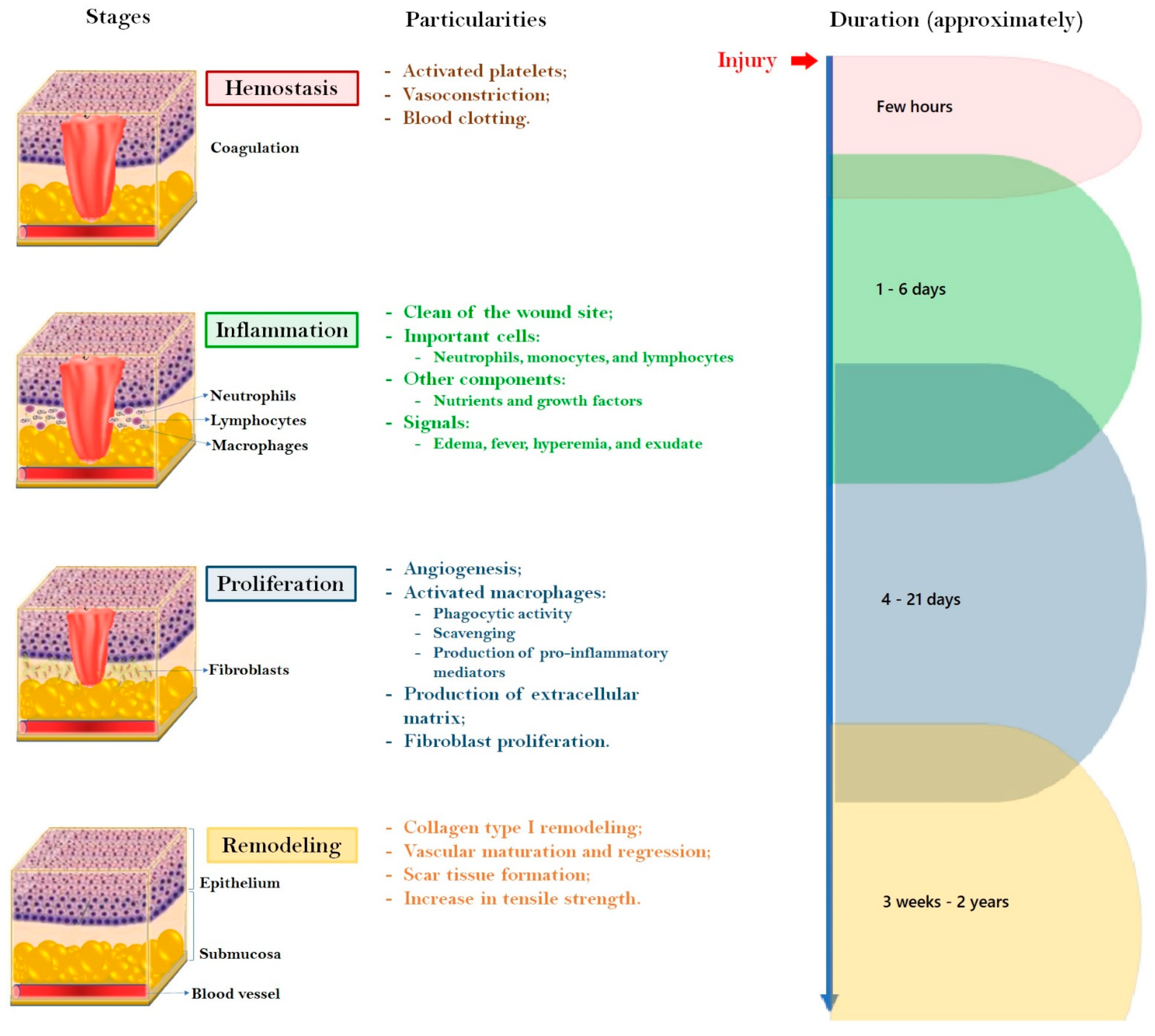 Molecules 28 01580 g002 Molecules 28 01580 g002