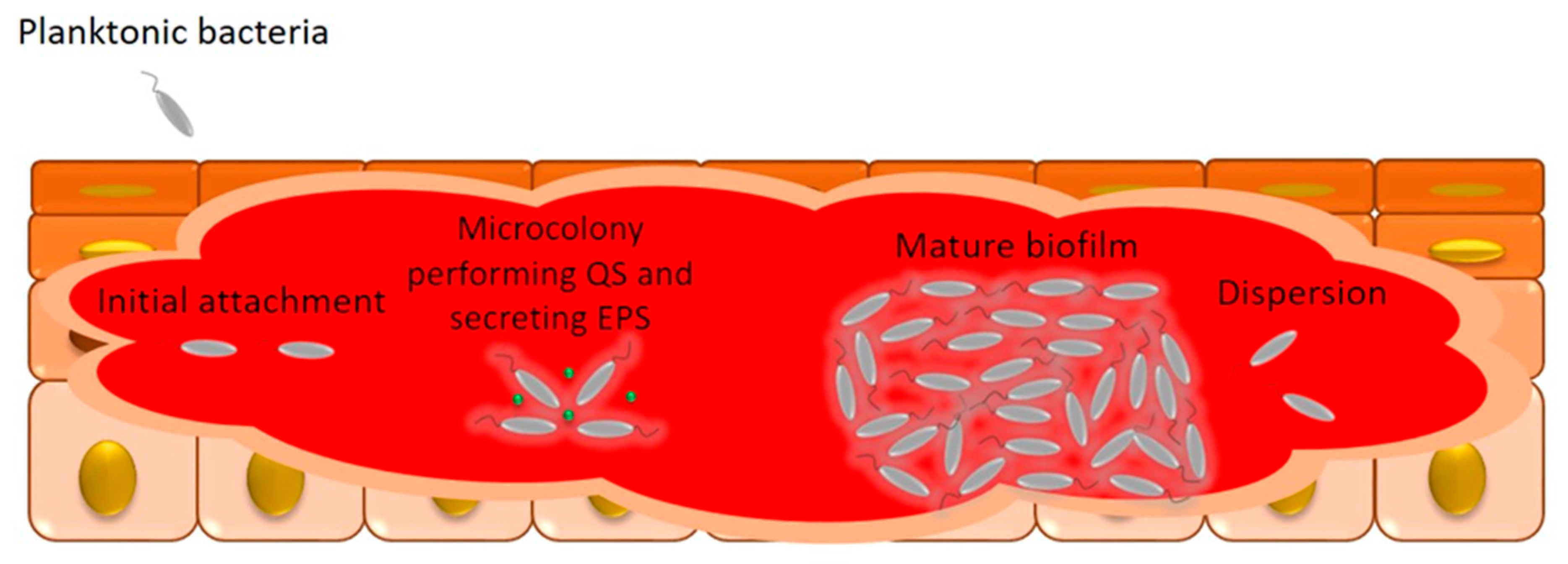 Molecules 28 01580 g003 Molecules 28 01580 g003