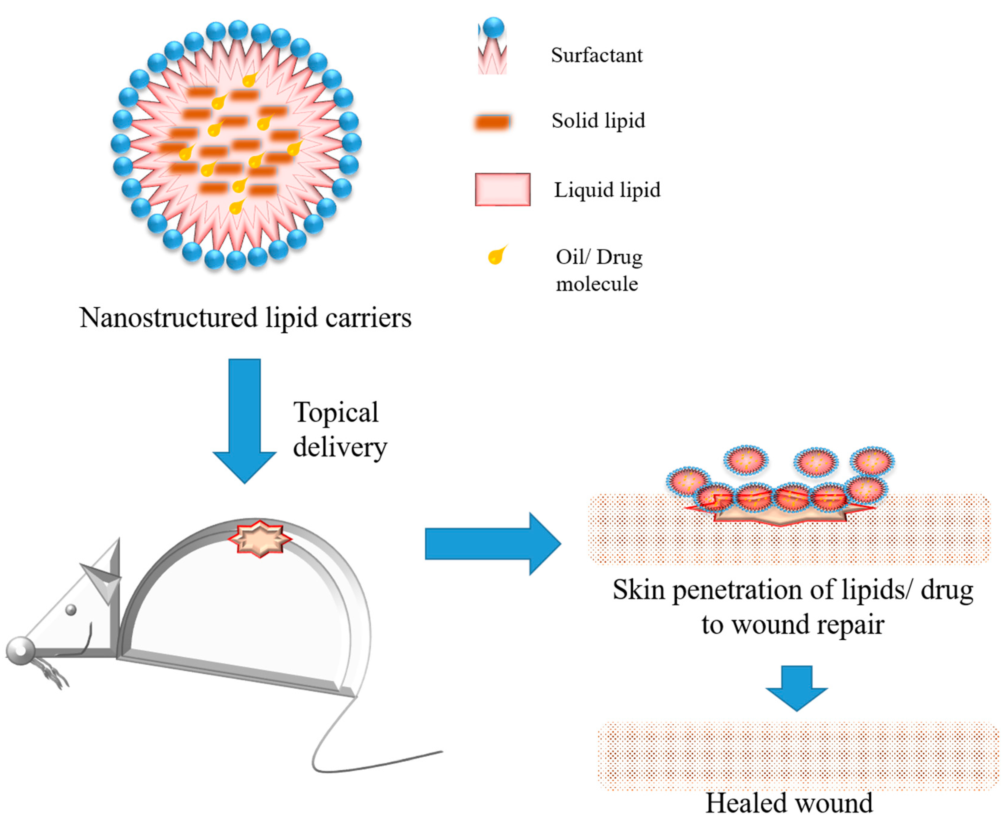 Molecules 28 01580 g004 Molecules 28 01580 g004