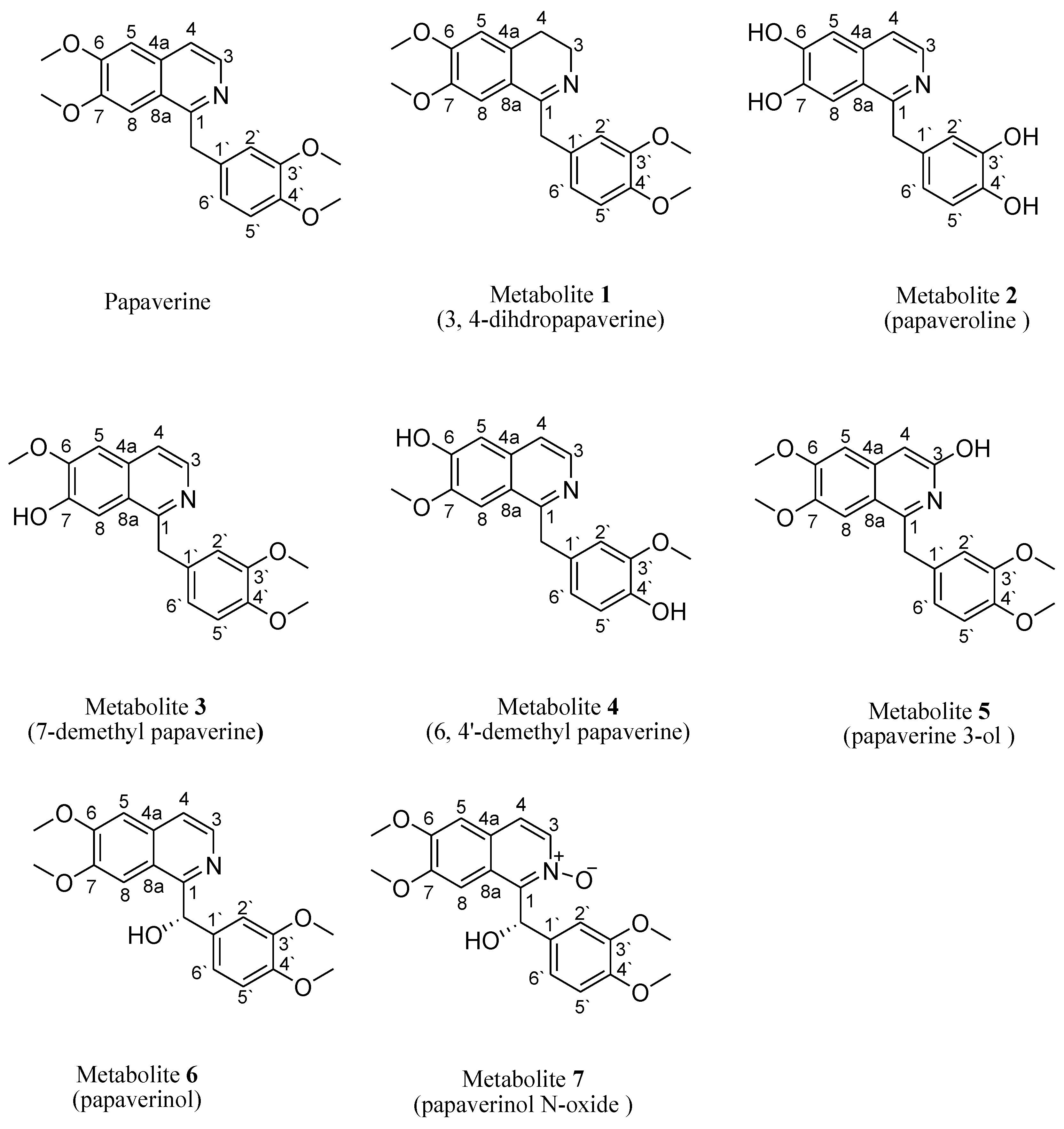 Molecules 28 01583 g001