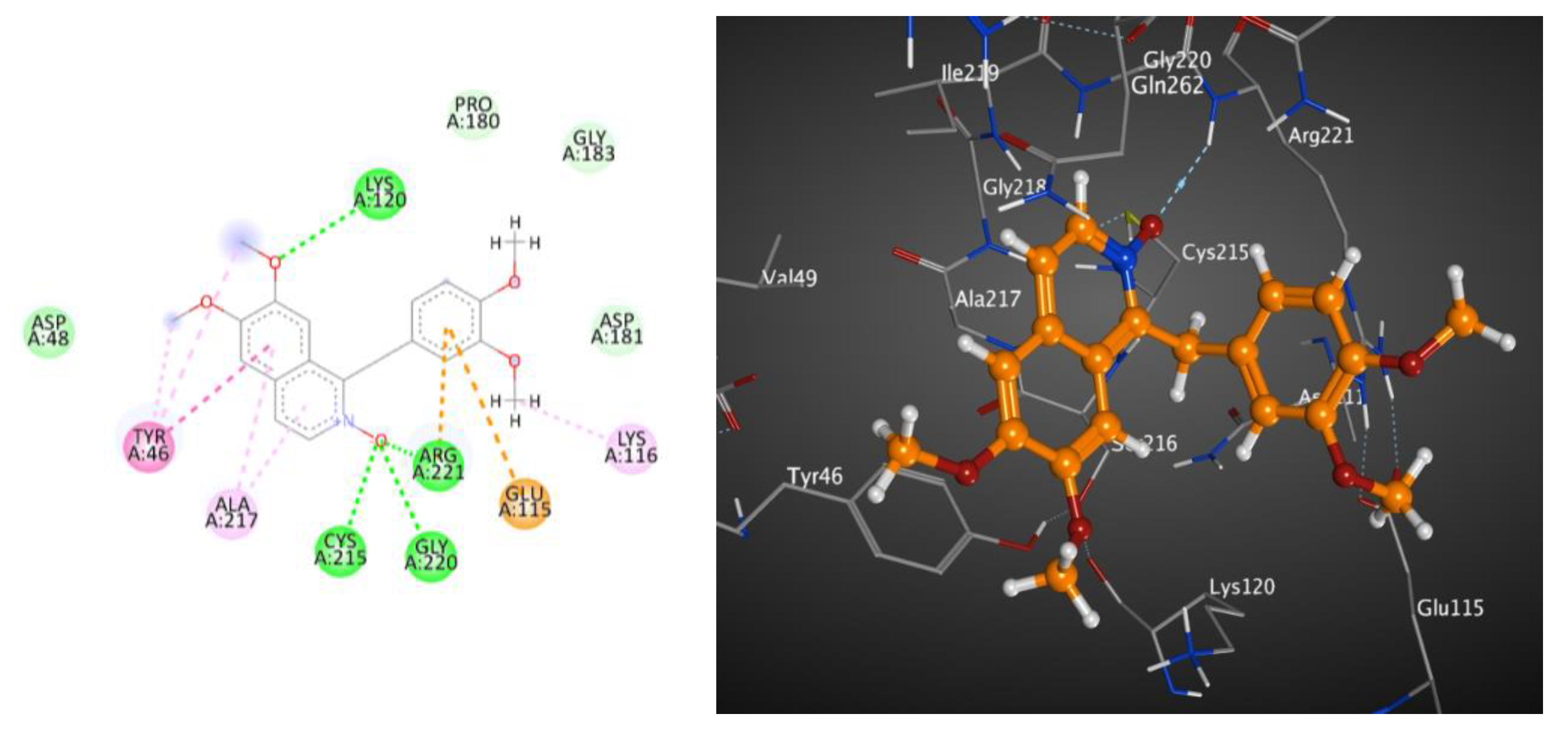 Molecules 28 01583 g003
