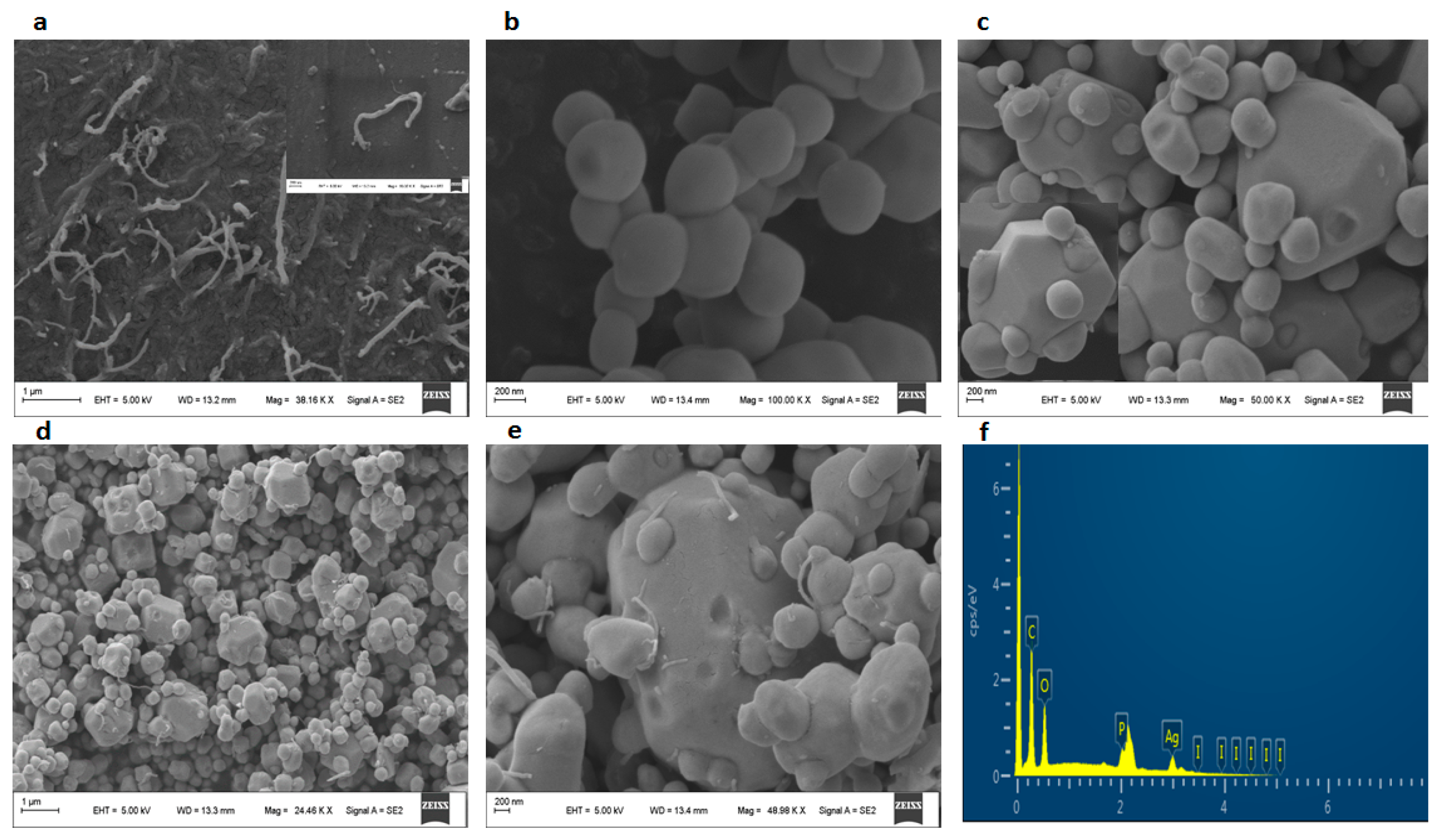 Molecules 28 01586 g003