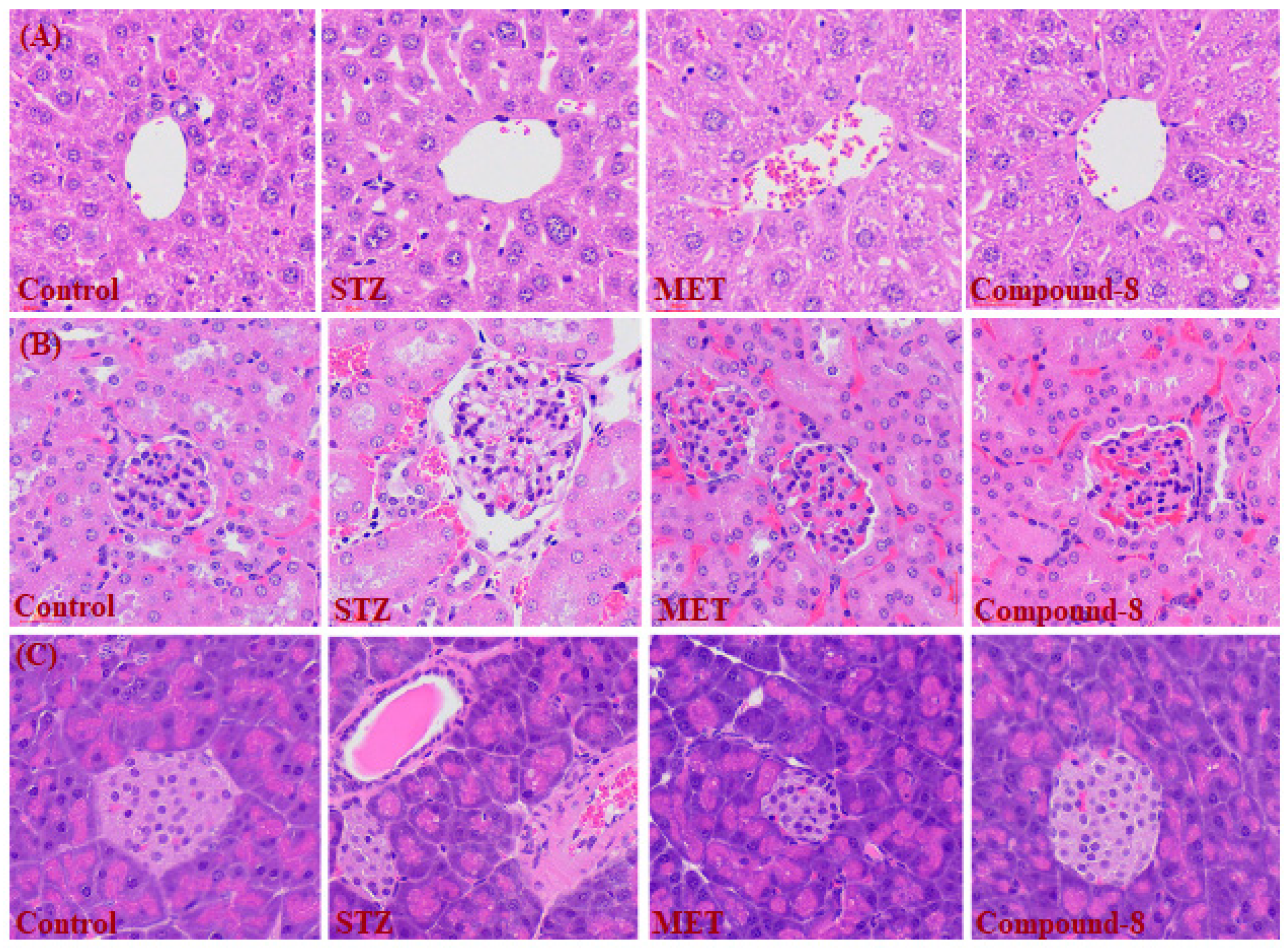 Molecules 28 01589 g004 Molecules 28 01589 g004