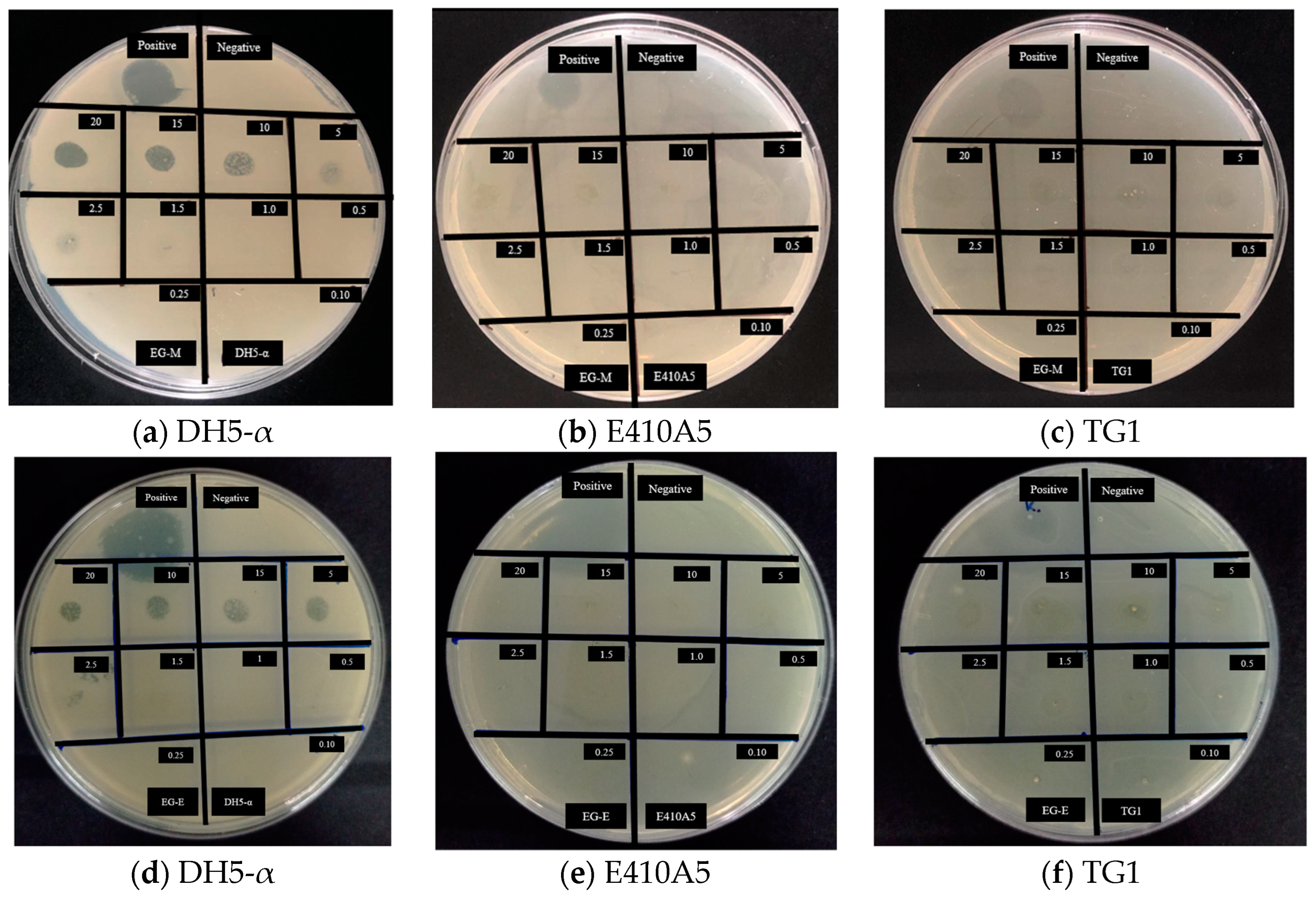 Molecules 28 01591 g004 Molecules 28 01591 g004