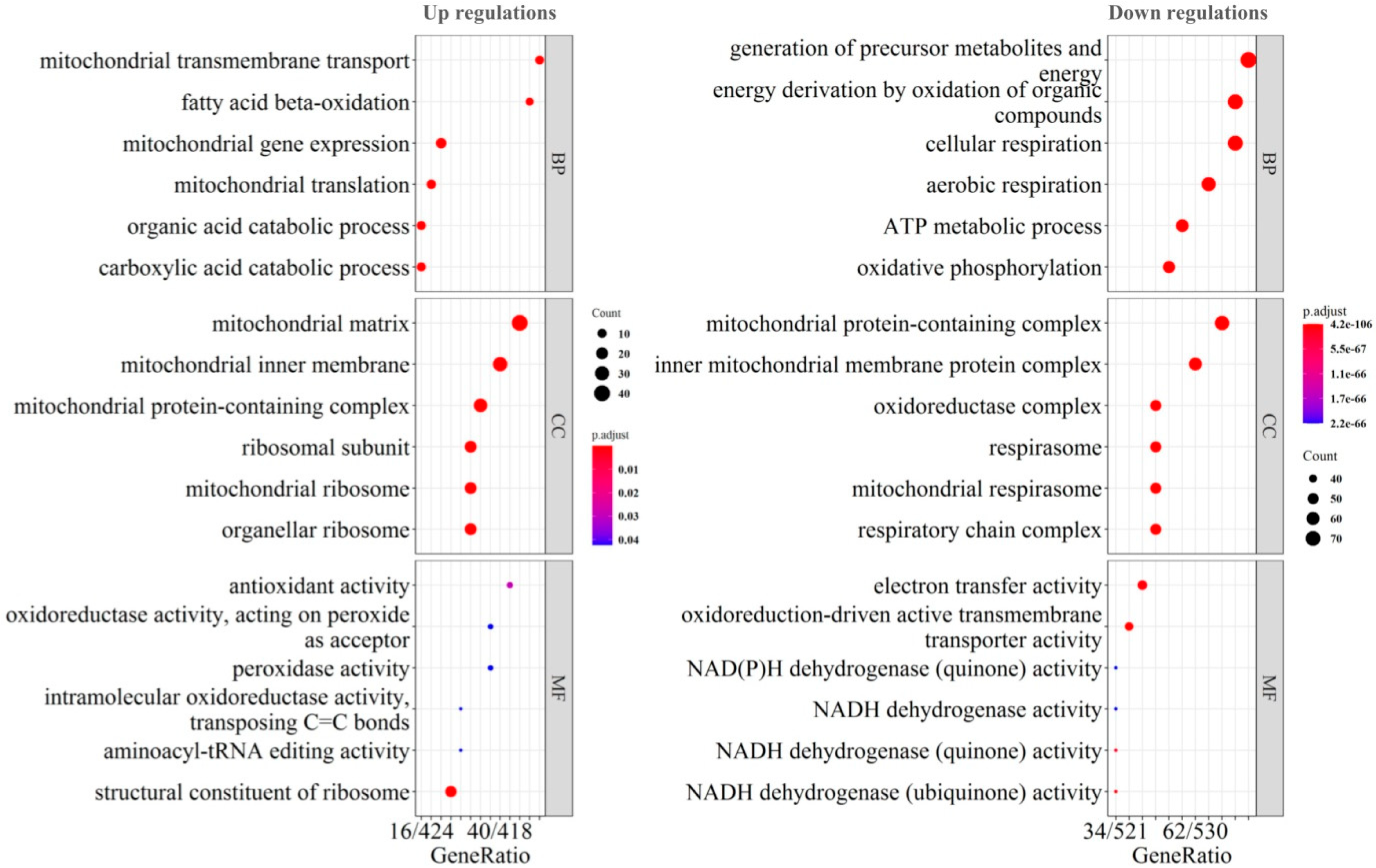 Molecules 28 01595 g002