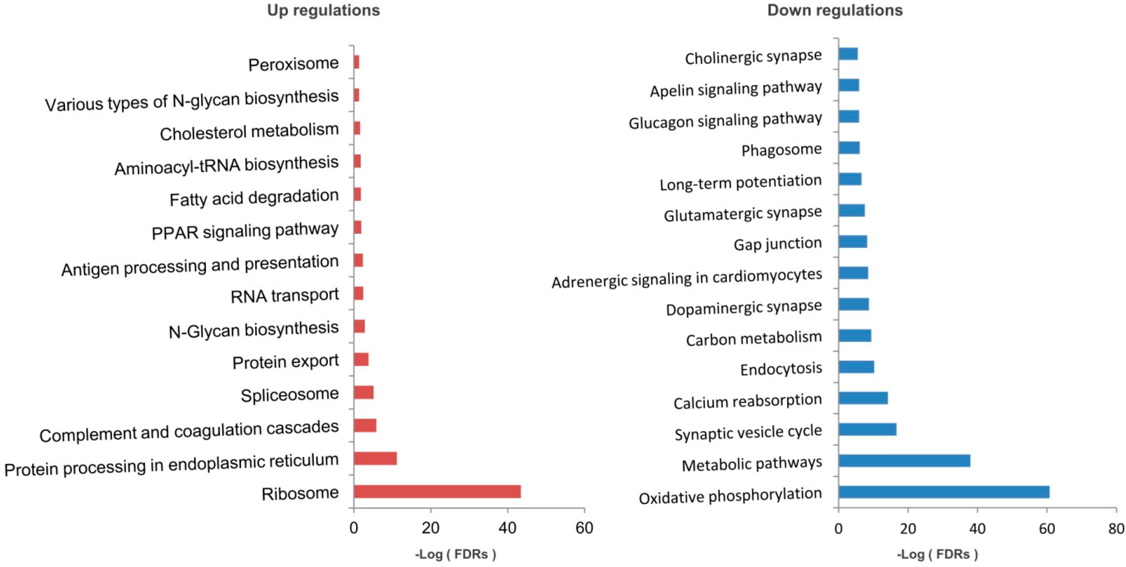 Molecules 28 01595 g003