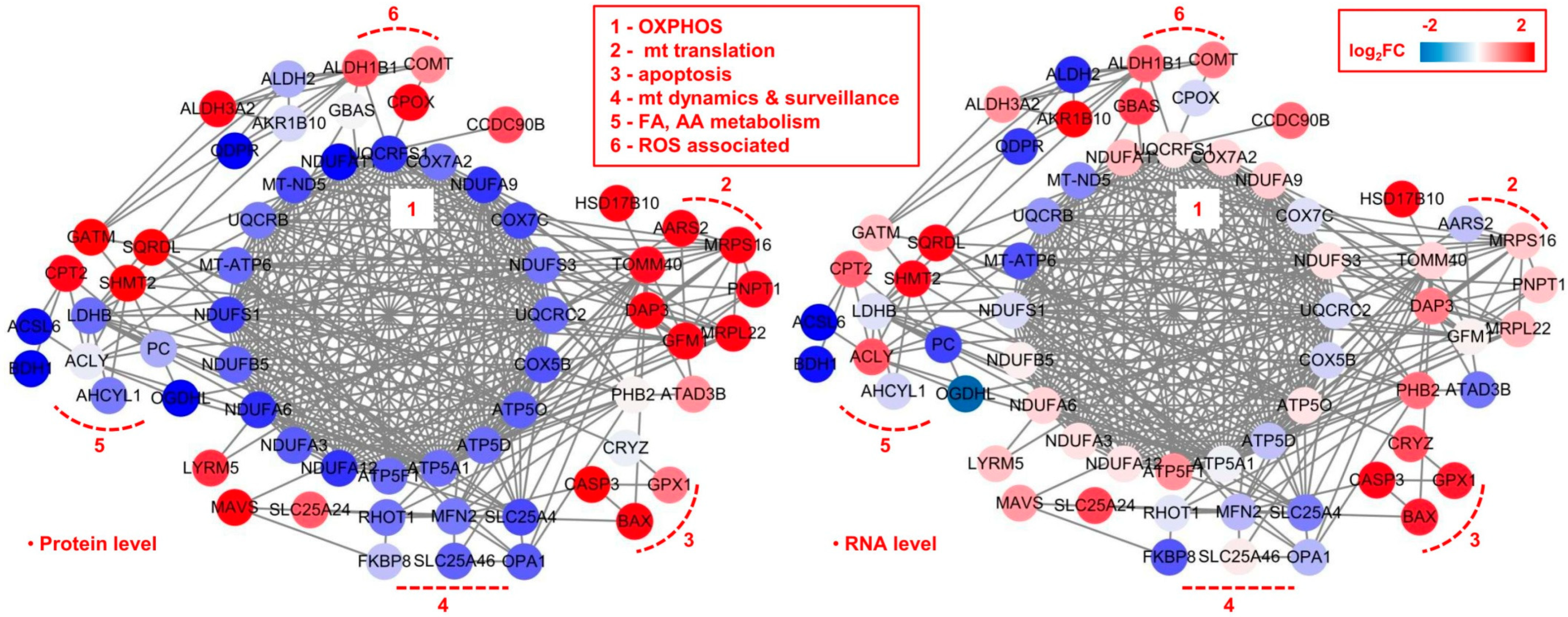Molecules 28 01595 g006