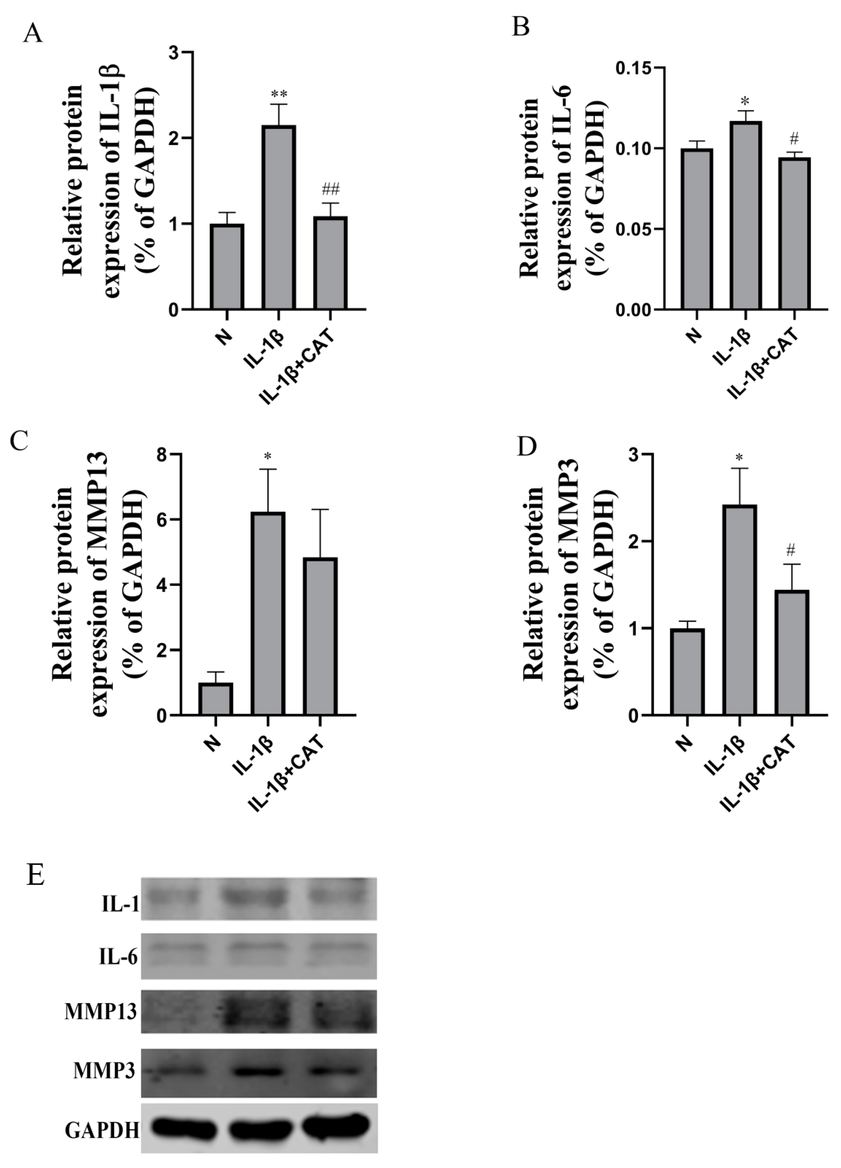 Molecules 28 01606 g006 Molecules 28 01606 g006