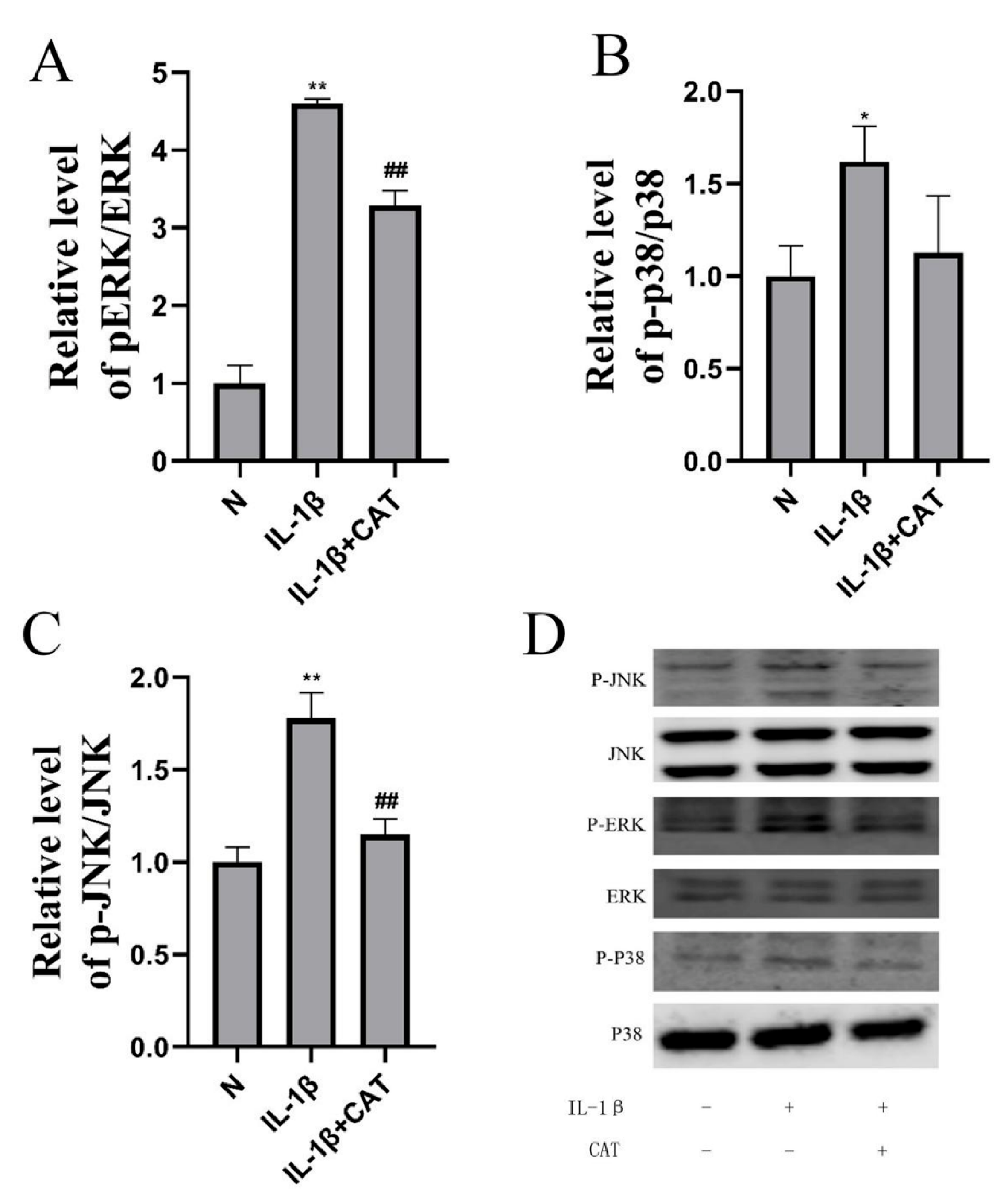 Molecules 28 01606 g008 Molecules 28 01606 g008