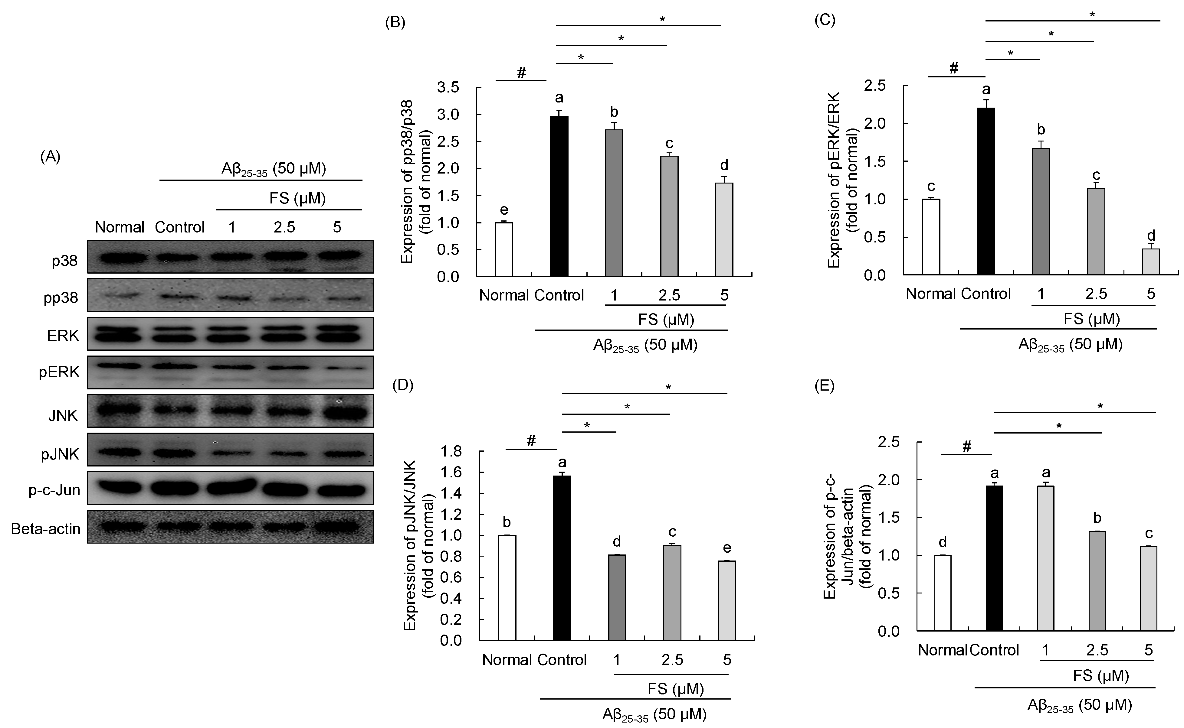 Molecules 28 01610 g006 Molecules 28 01610 g006